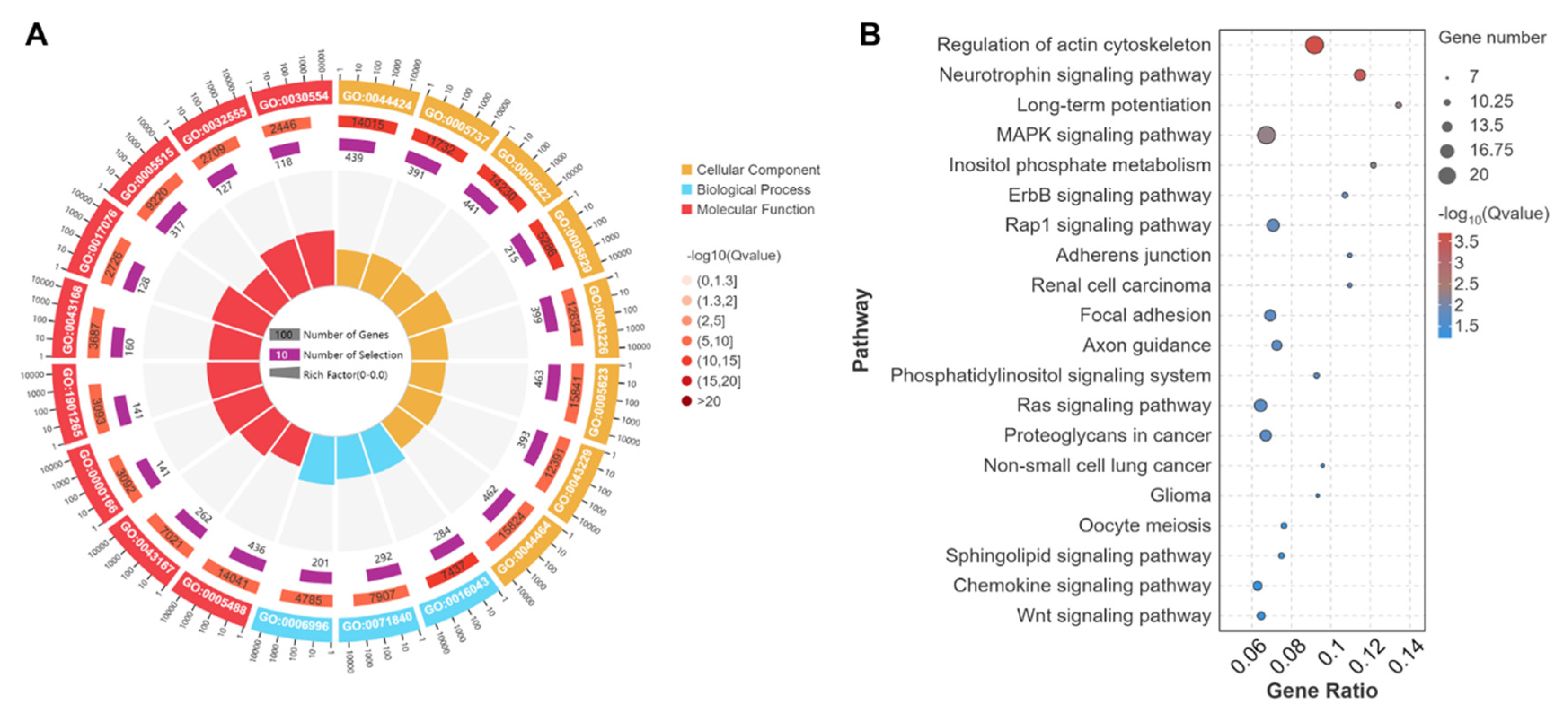 Biology 14 01143 g005 Biology 14 01143 g005