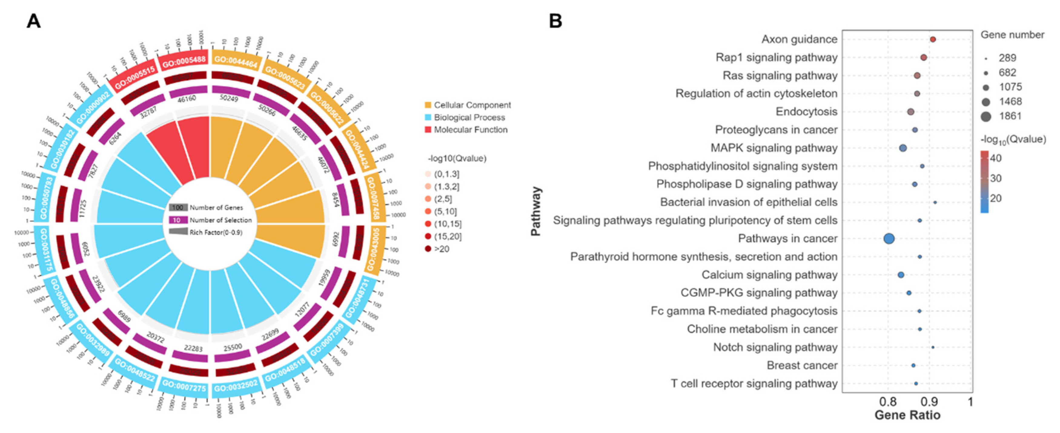 Biology 14 01143 g006 Biology 14 01143 g006