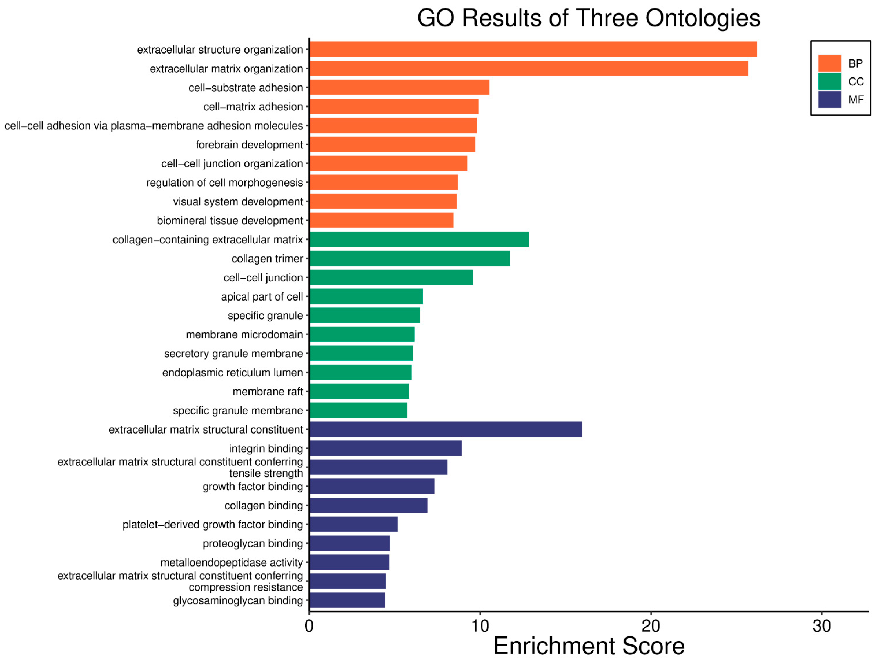 Biology 14 01151 g003 Biology 14 01151 g003