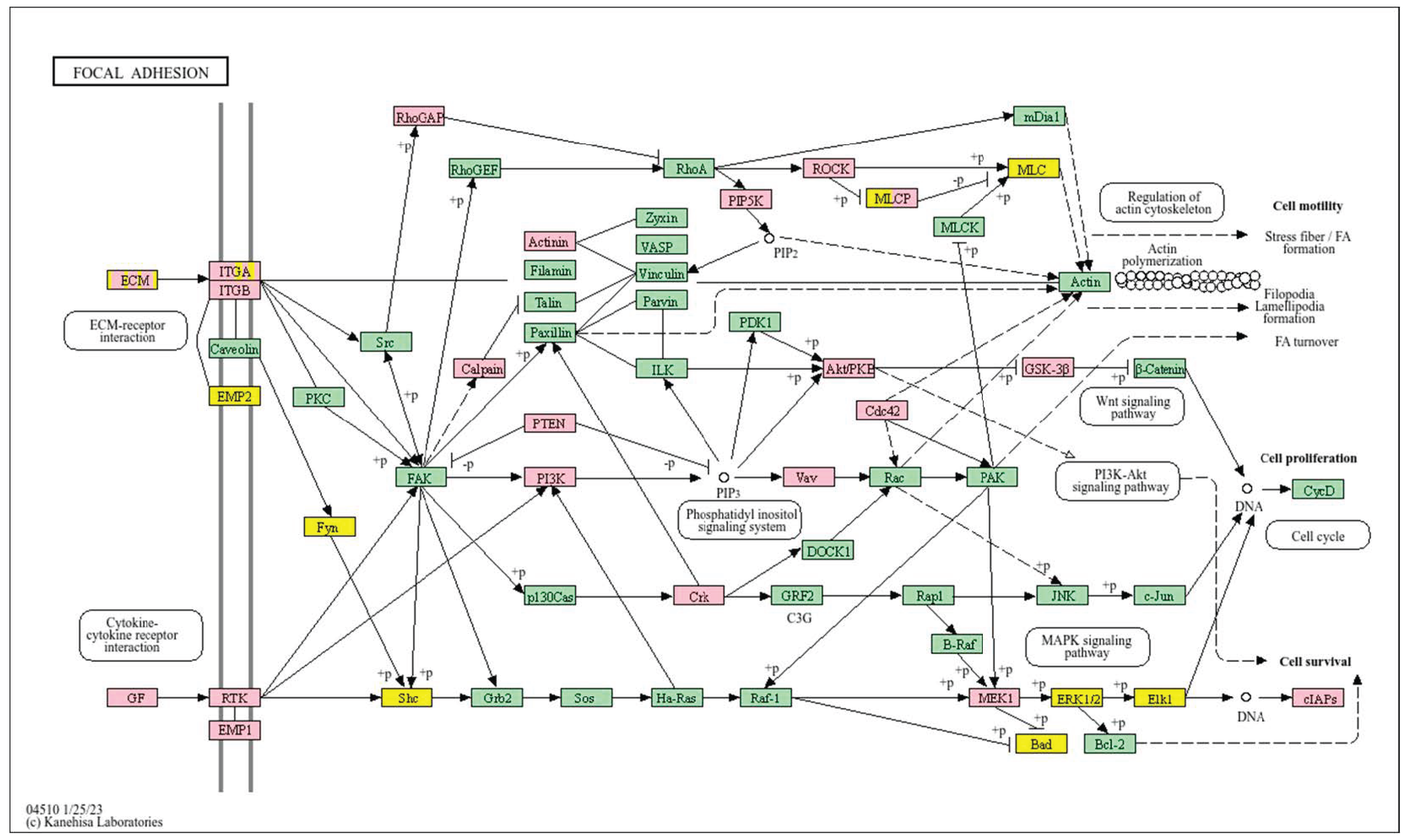 Biology 14 01151 g004 Biology 14 01151 g004