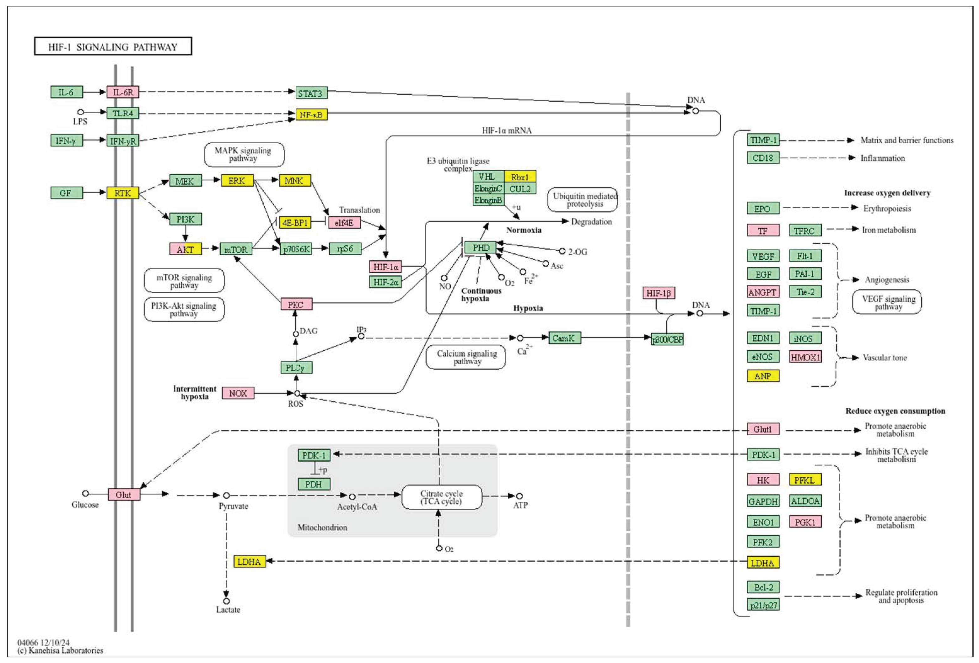 Biology 14 01151 g008 Biology 14 01151 g008