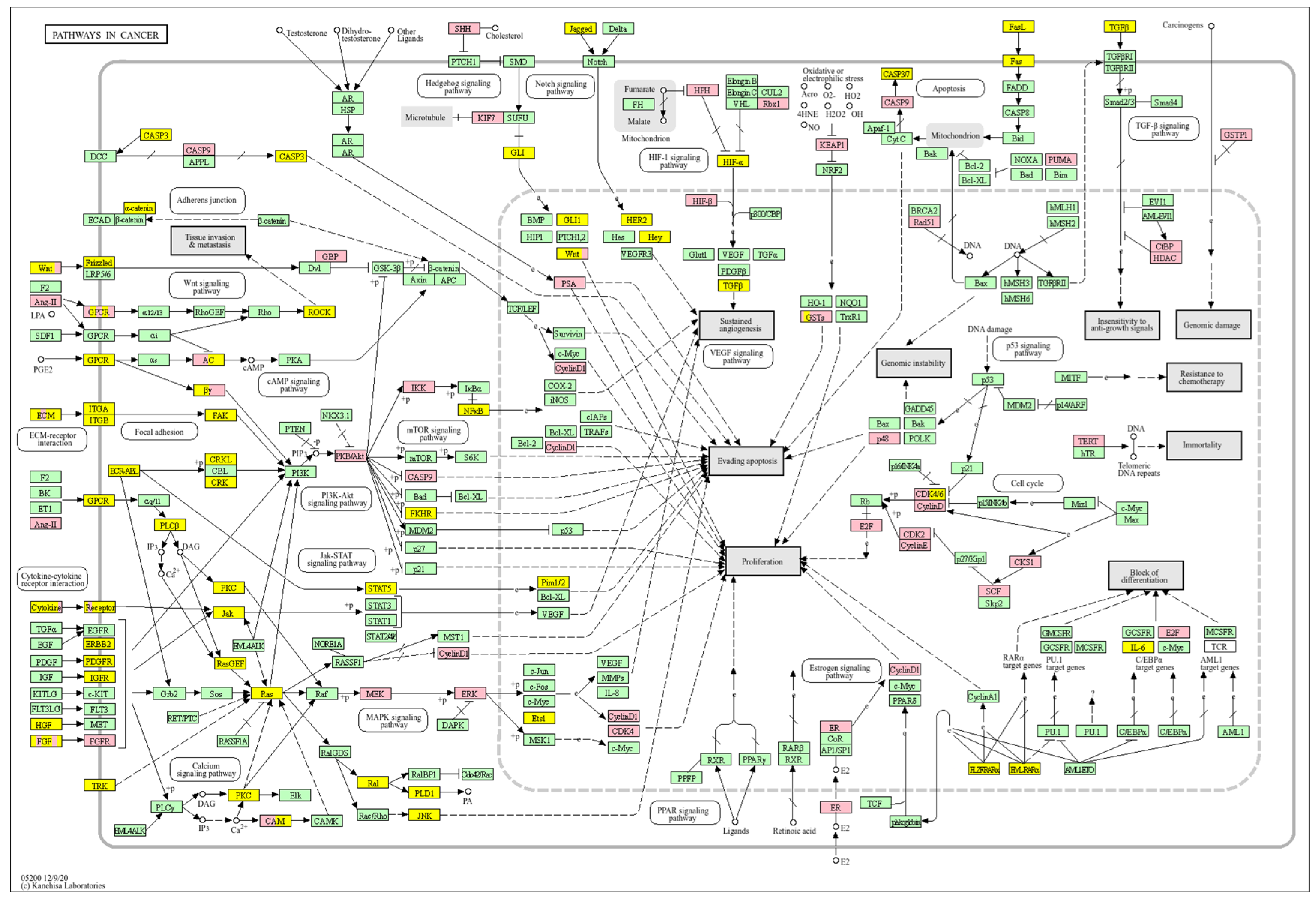 Biology 14 01151 g010 Biology 14 01151 g010