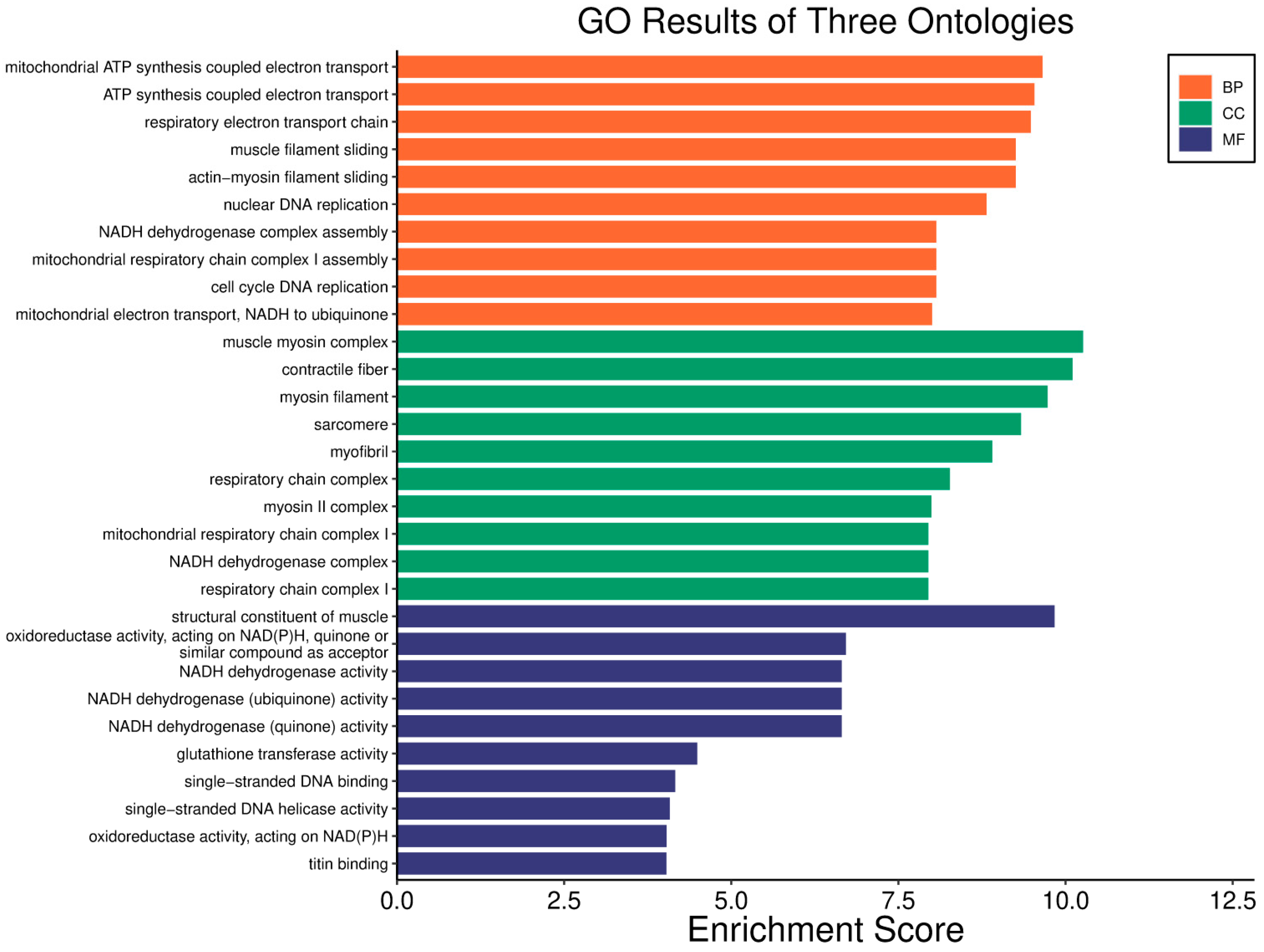 Biology 14 01151 g011 Biology 14 01151 g011