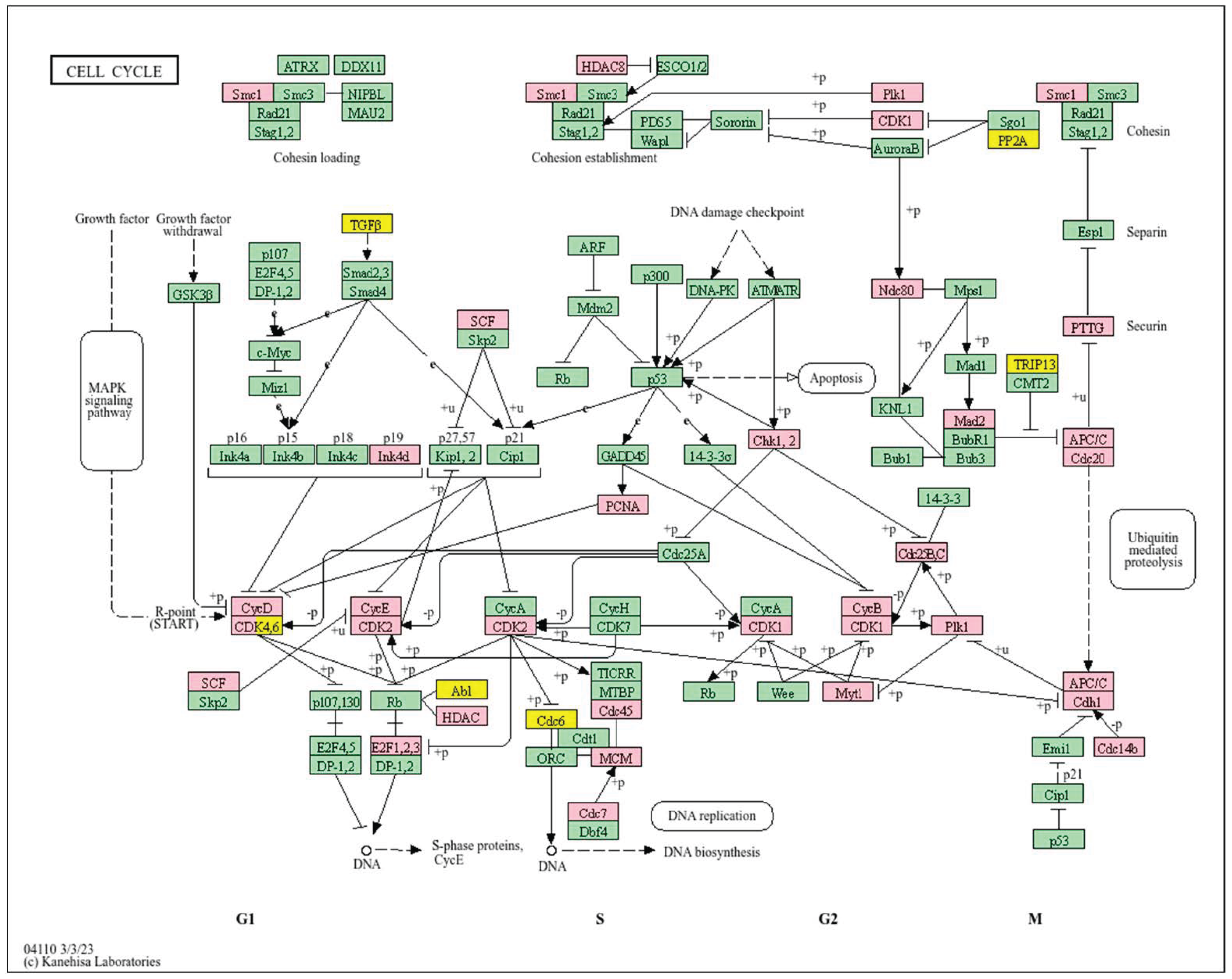 Biology 14 01151 g012 Biology 14 01151 g012