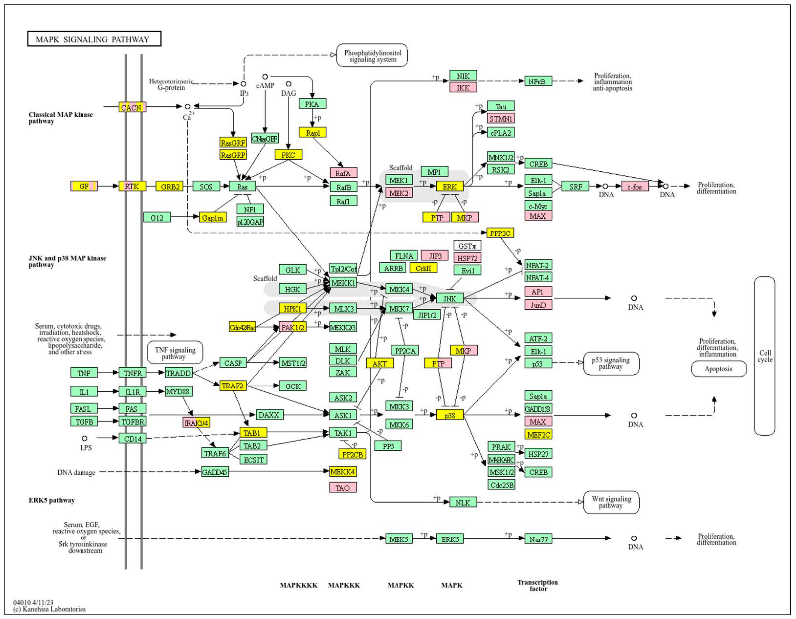 Biology 14 01151 g015 Biology 14 01151 g015