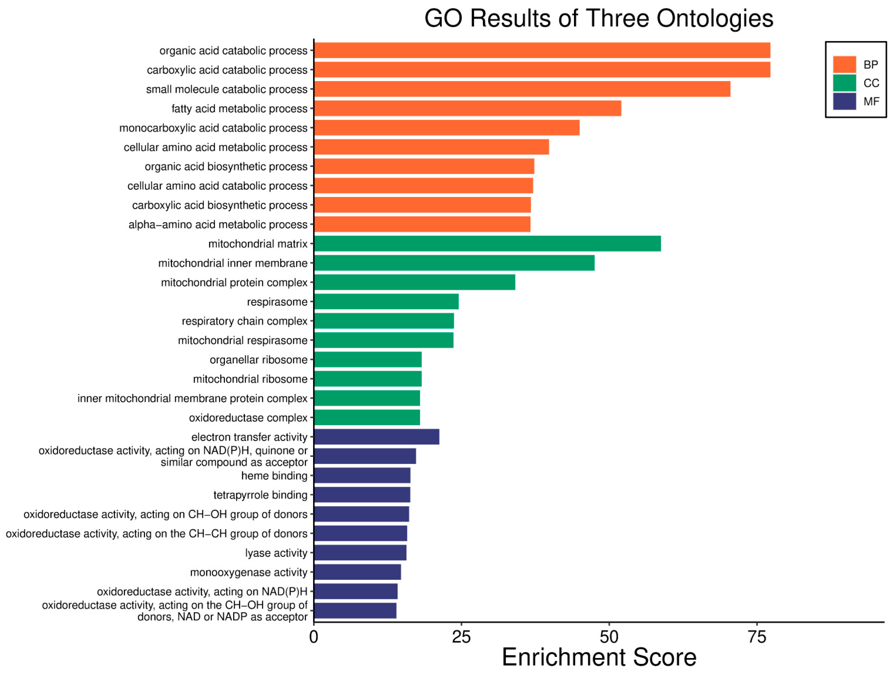 Biology 14 01151 g016 Biology 14 01151 g016