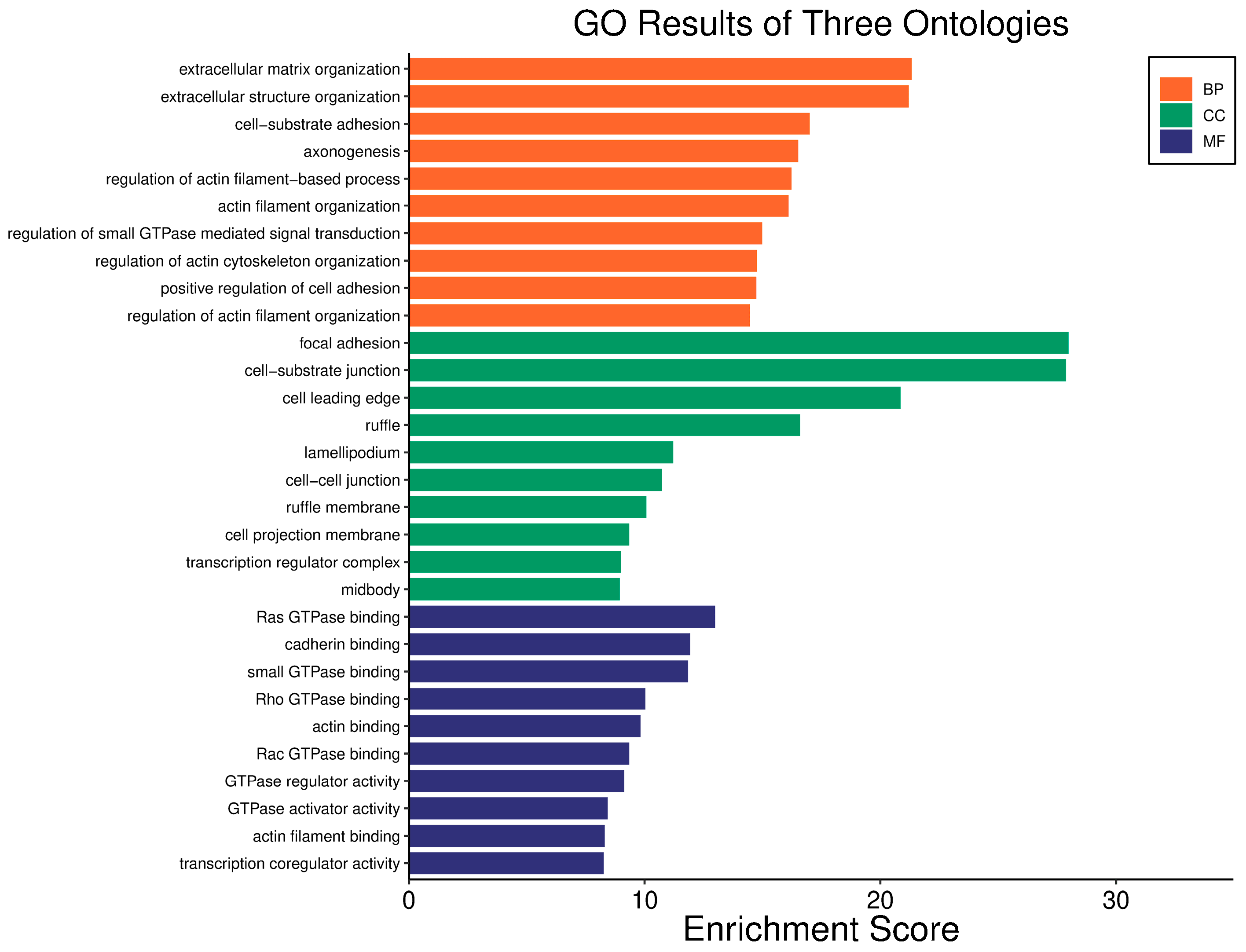Biology 14 01151 g017 Biology 14 01151 g017