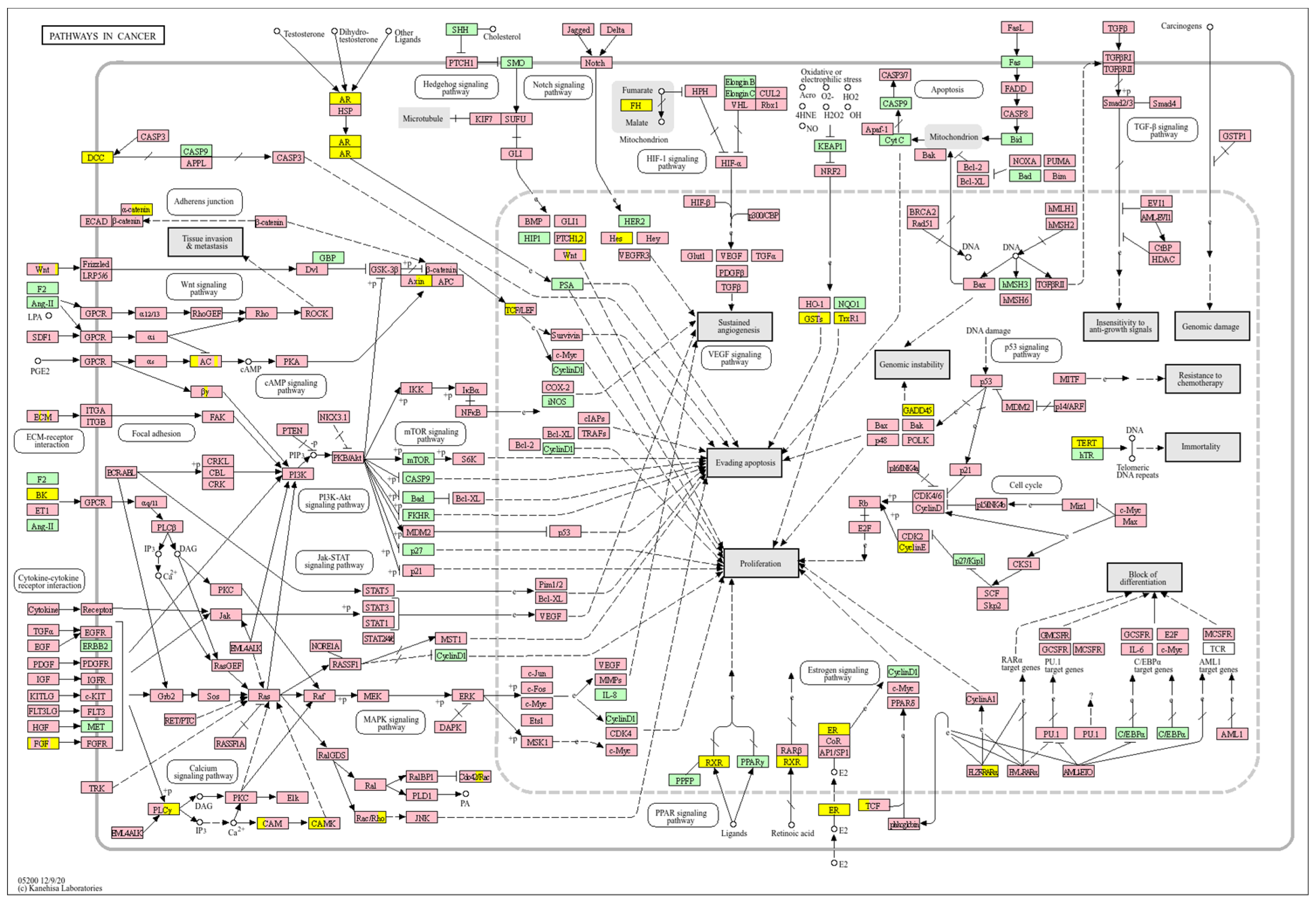 Biology 14 01151 g018 Biology 14 01151 g018