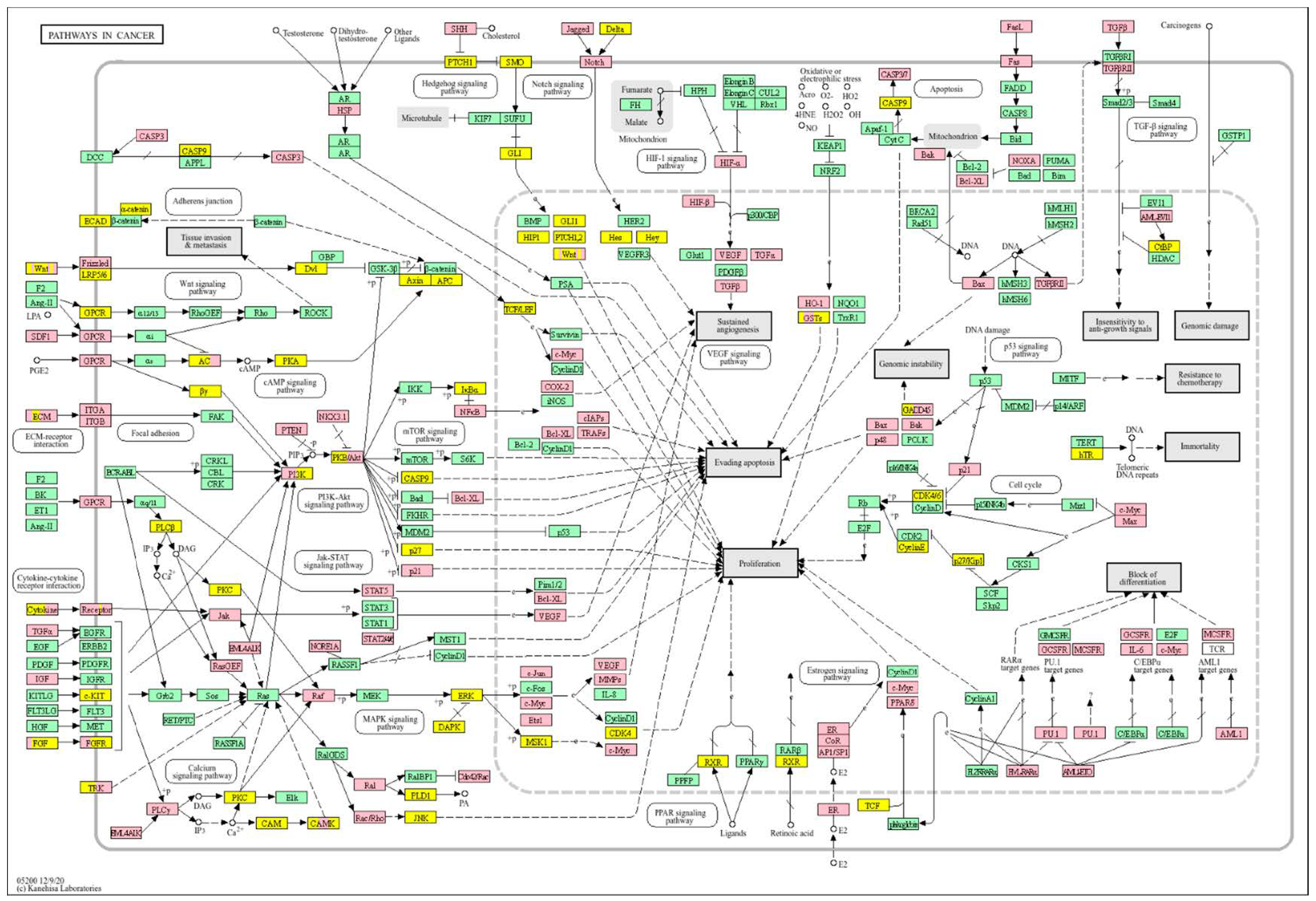 Biology 14 01151 g020 Biology 14 01151 g020