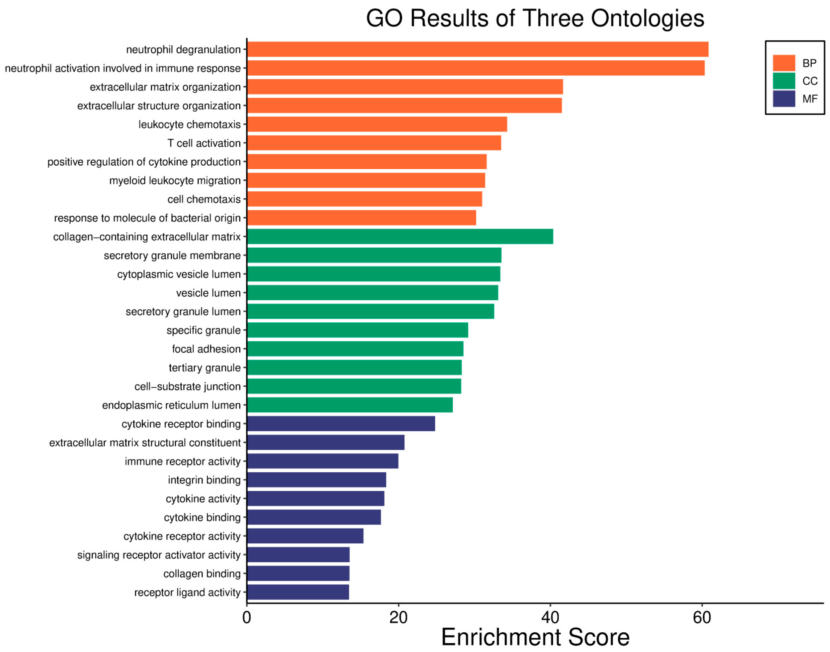 Biology 14 01151 g021 Biology 14 01151 g021
