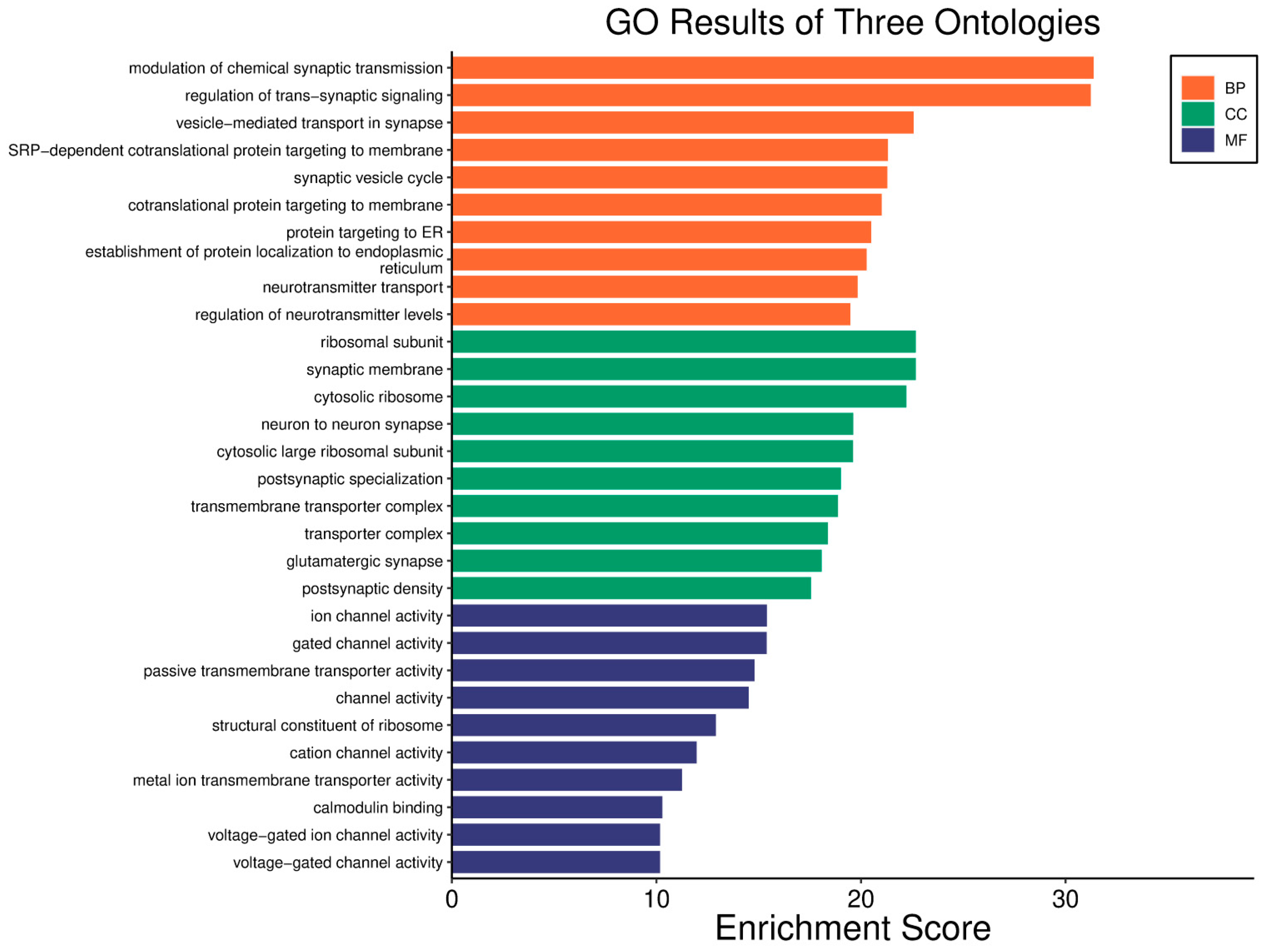 Biology 14 01151 g022 Biology 14 01151 g022