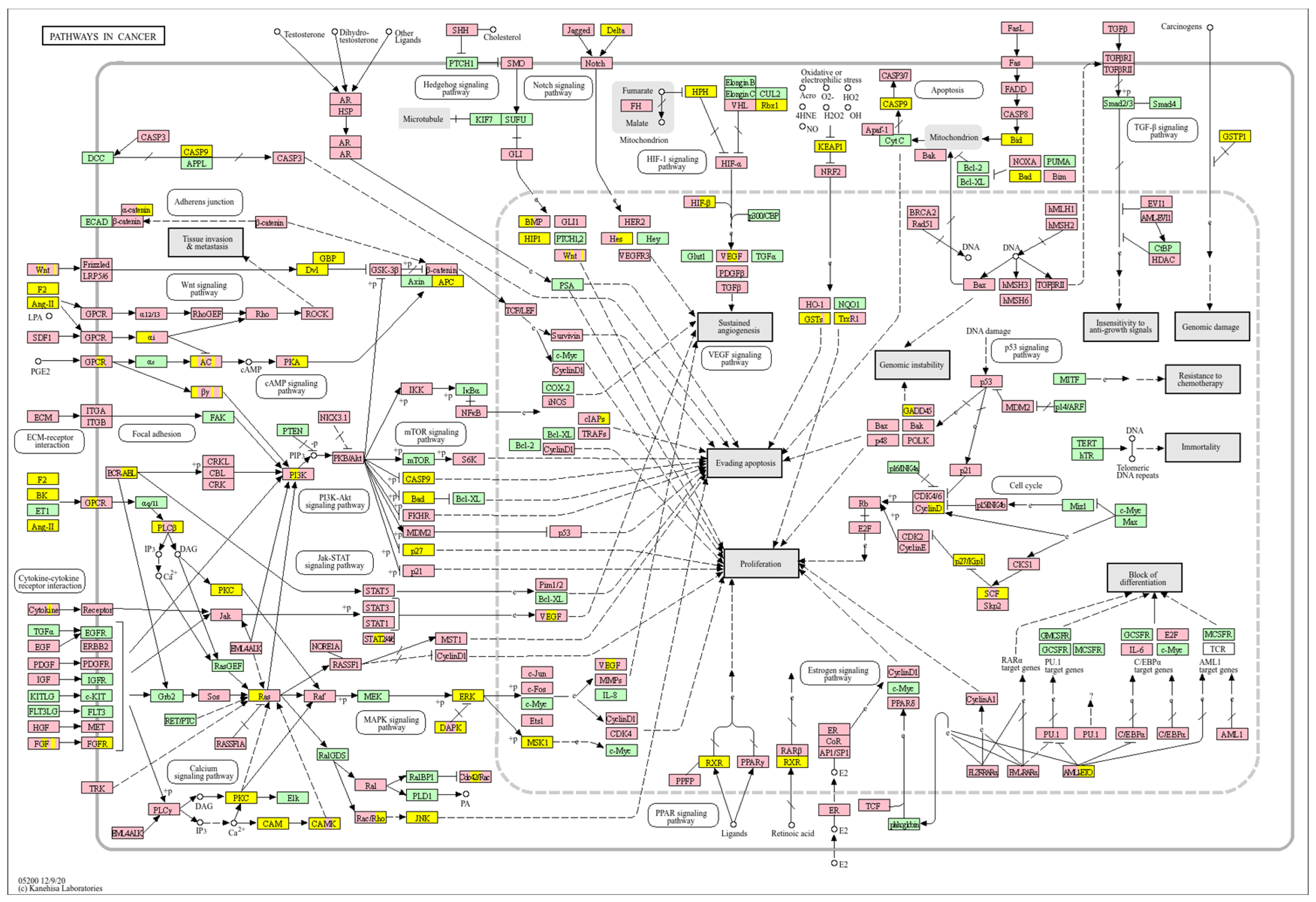 Biology 14 01151 g023 Biology 14 01151 g023