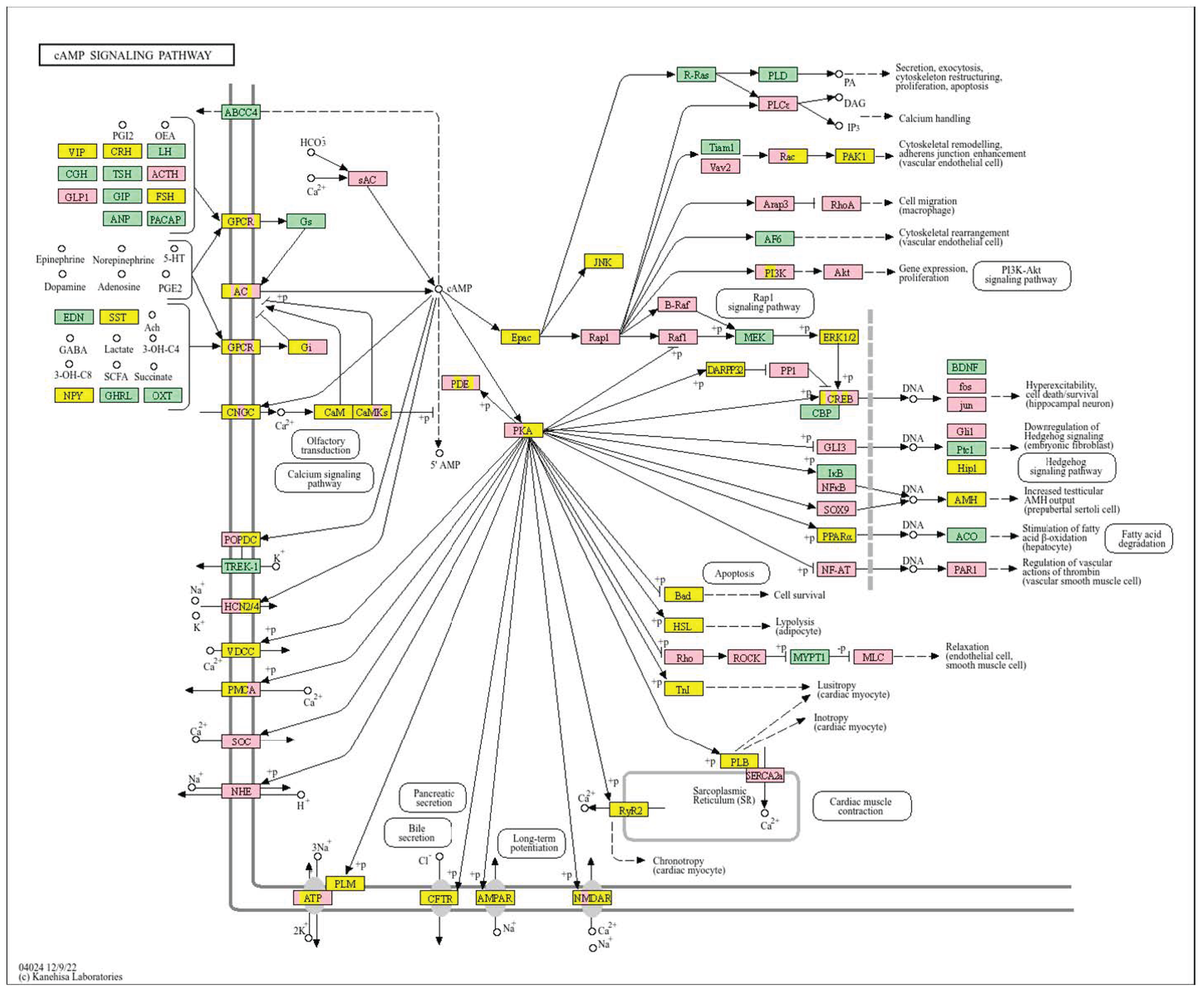 Biology 14 01151 g024 Biology 14 01151 g024