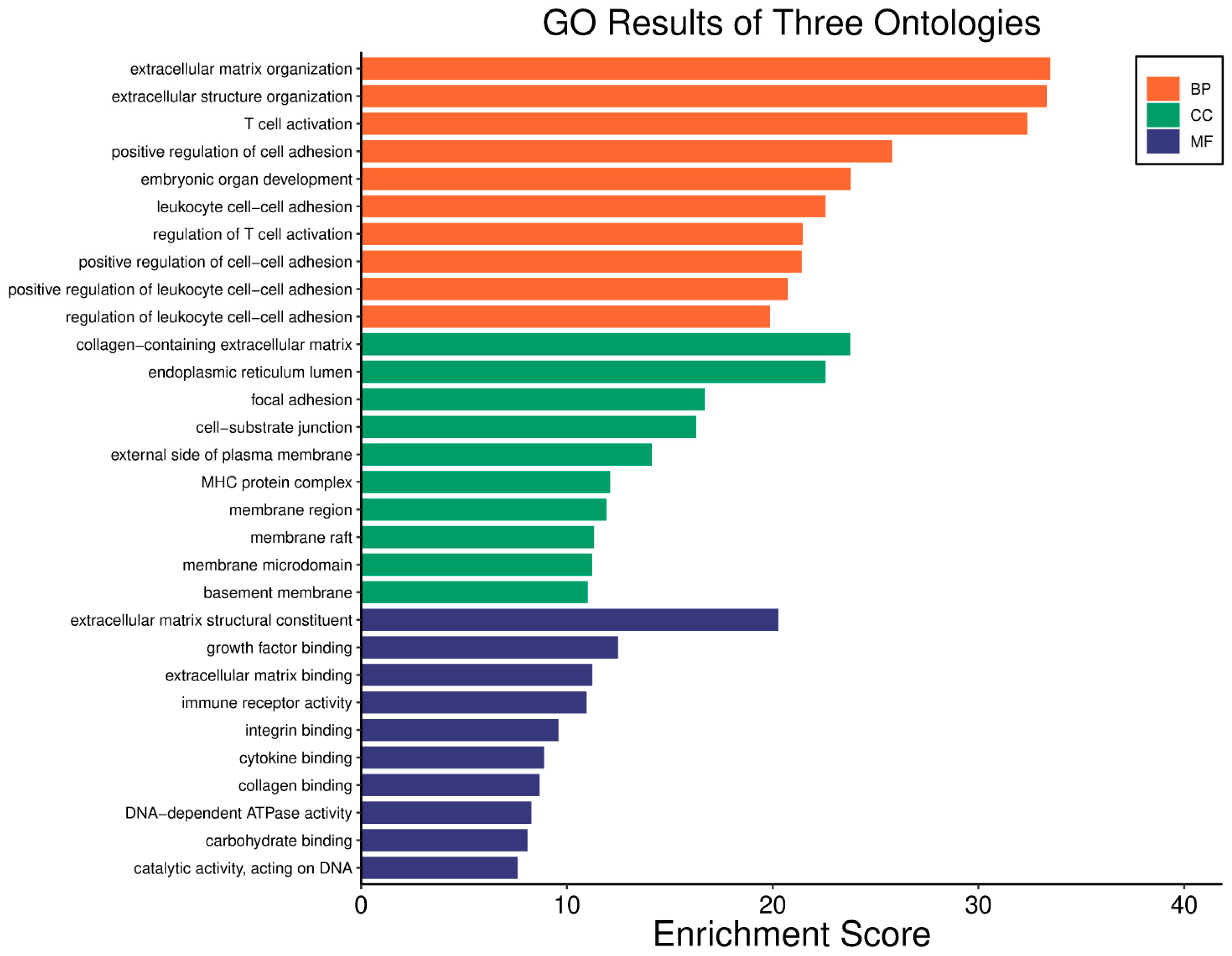 Biology 14 01151 g025 Biology 14 01151 g025