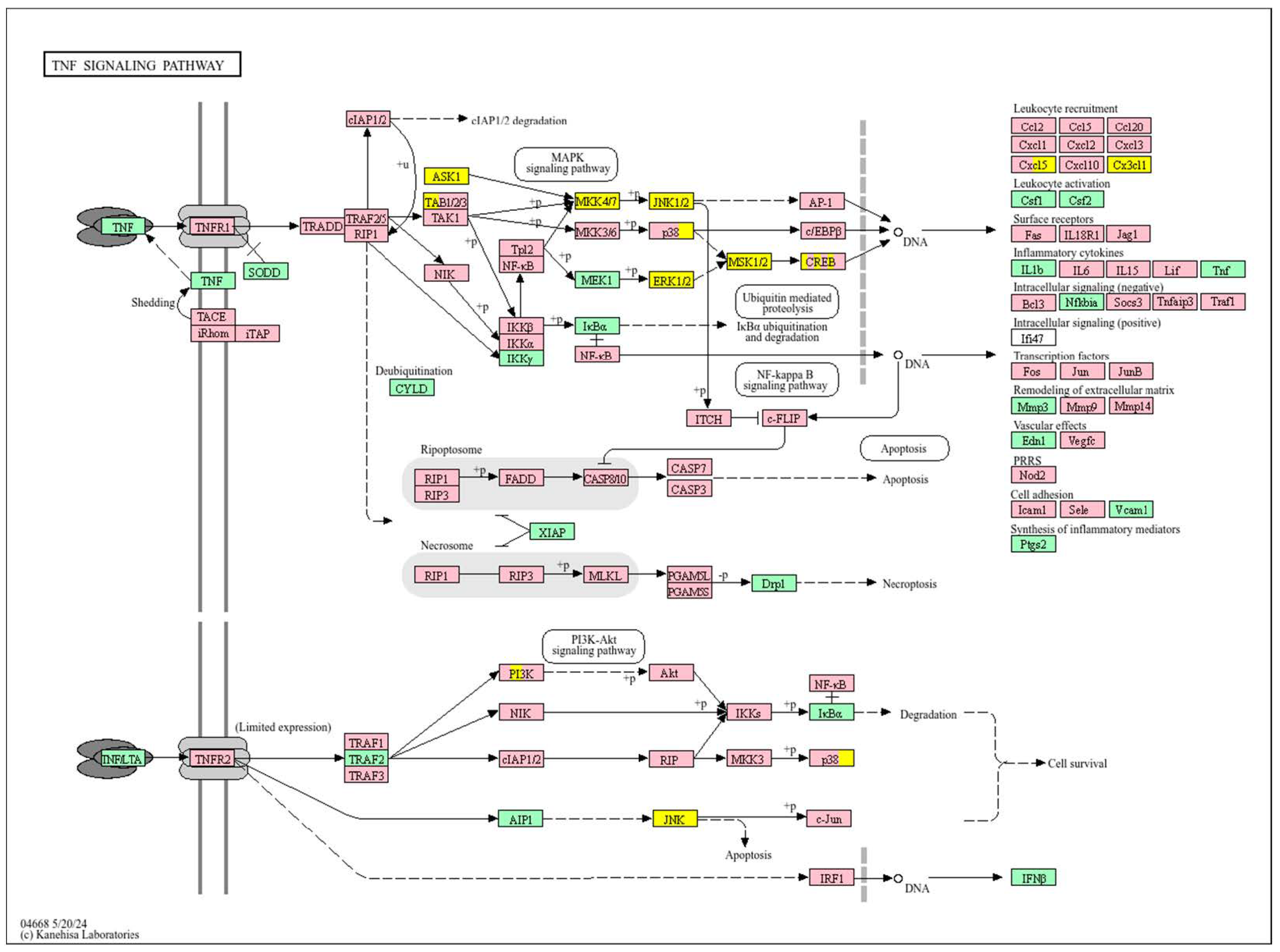 Biology 14 01151 g026 Biology 14 01151 g026