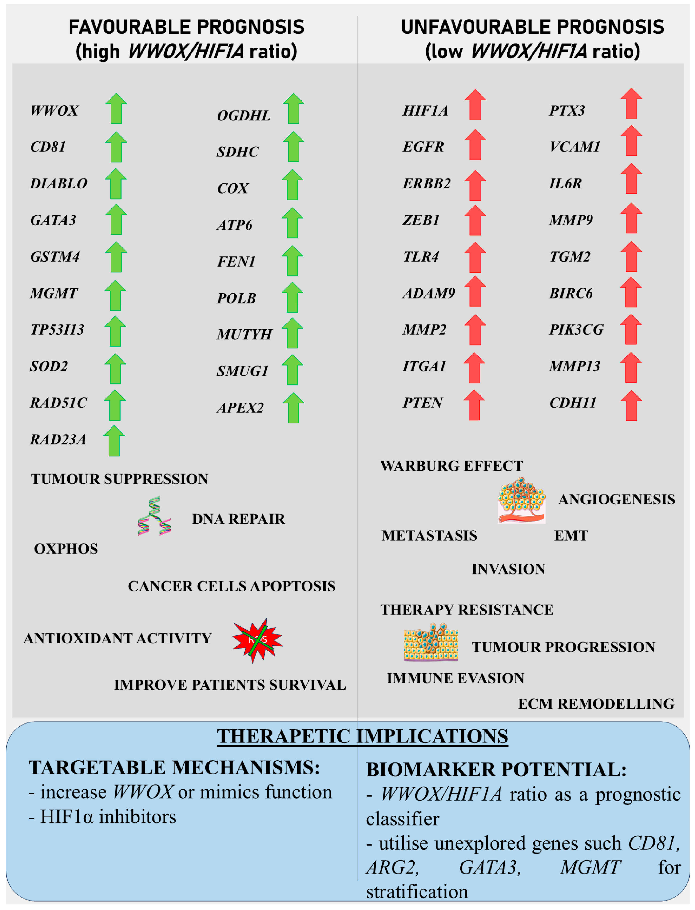 Biology 14 01151 g027 Biology 14 01151 g027