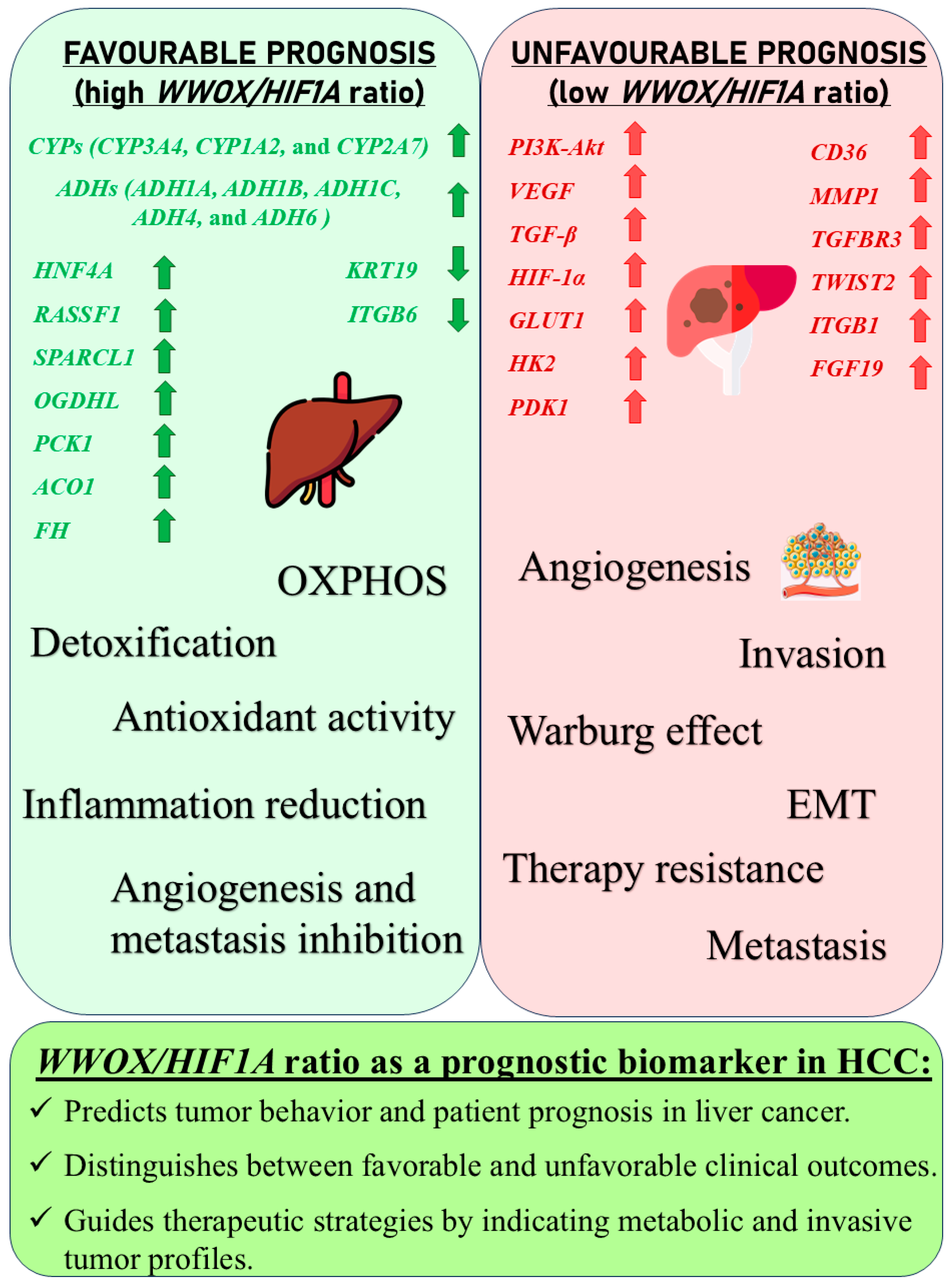 Biology 14 01151 g028 Biology 14 01151 g028