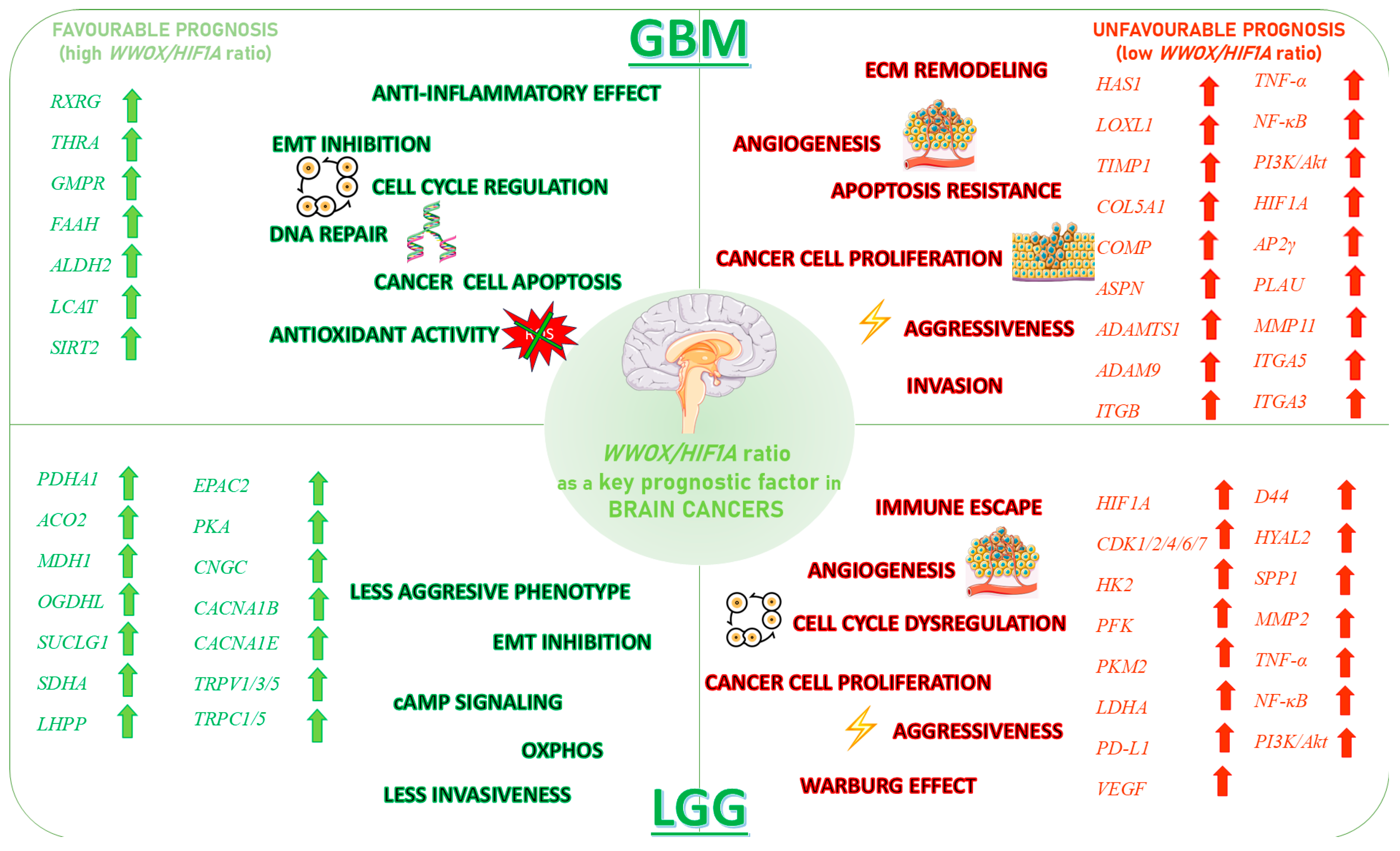 Biology 14 01151 g029 Biology 14 01151 g029