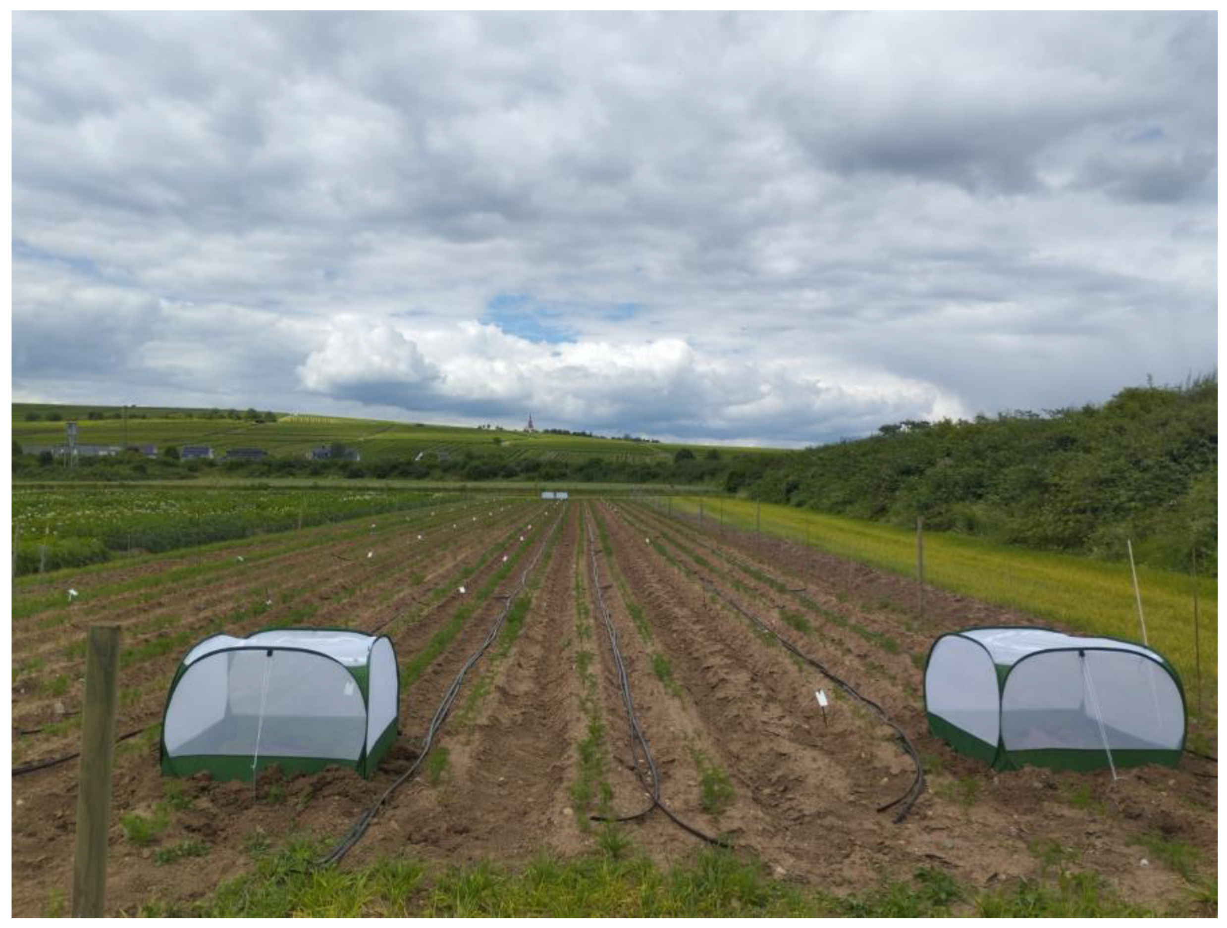 Biology 14 01152 g001 Biology 14 01152 g001