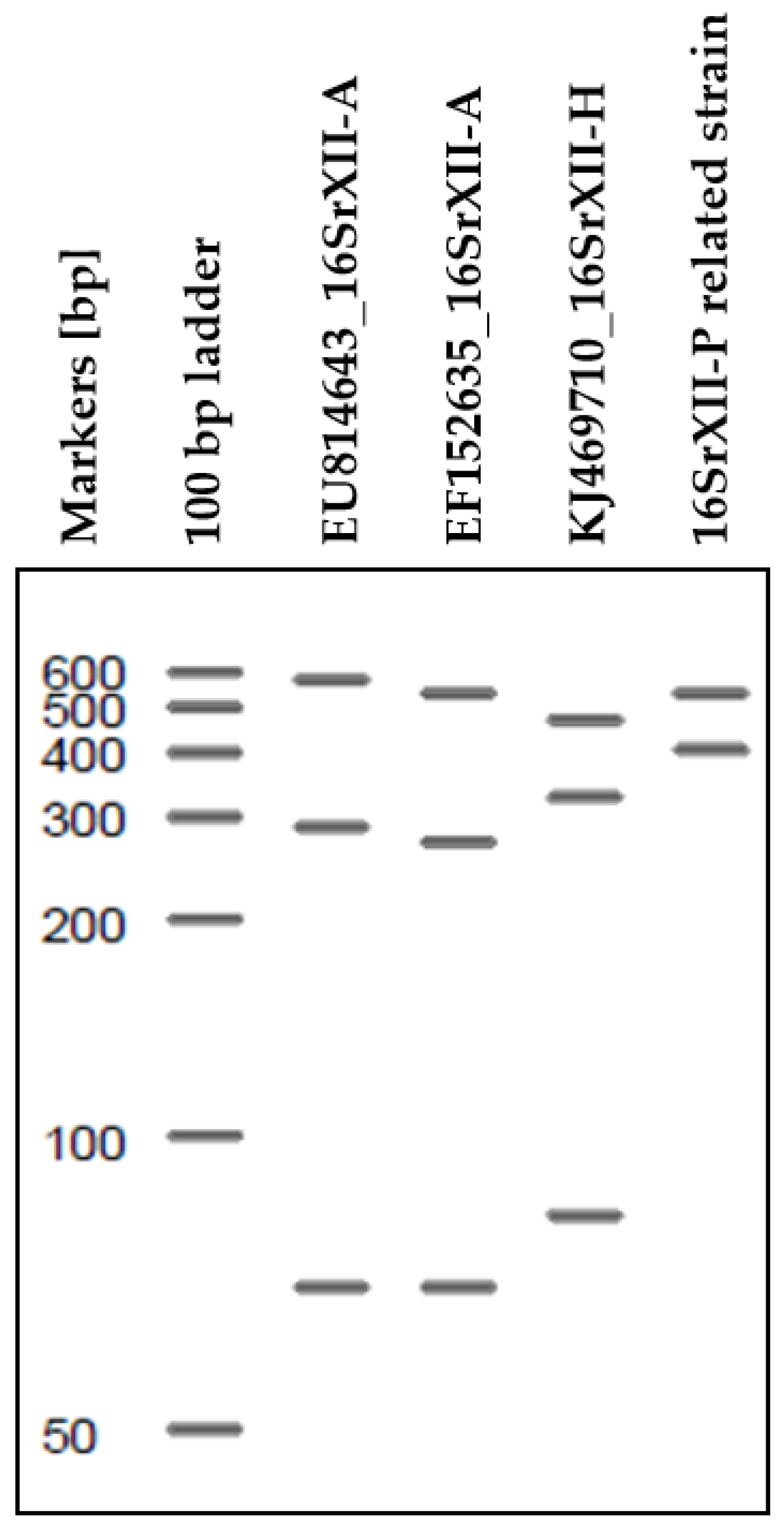 Biology 14 01152 g0a1 Biology 14 01152 g0a1