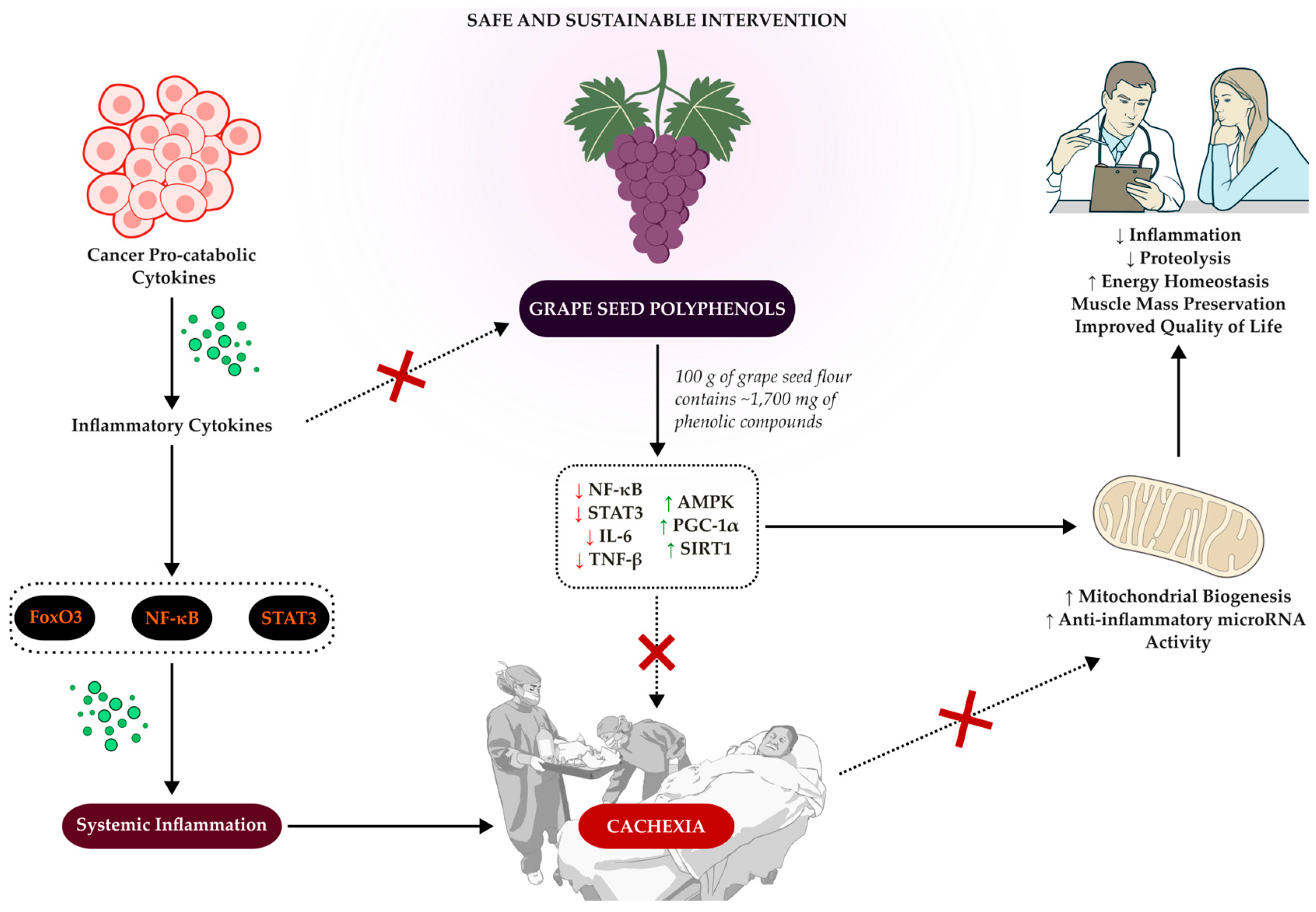 Biology 14 01159 g001 Biology 14 01159 g001