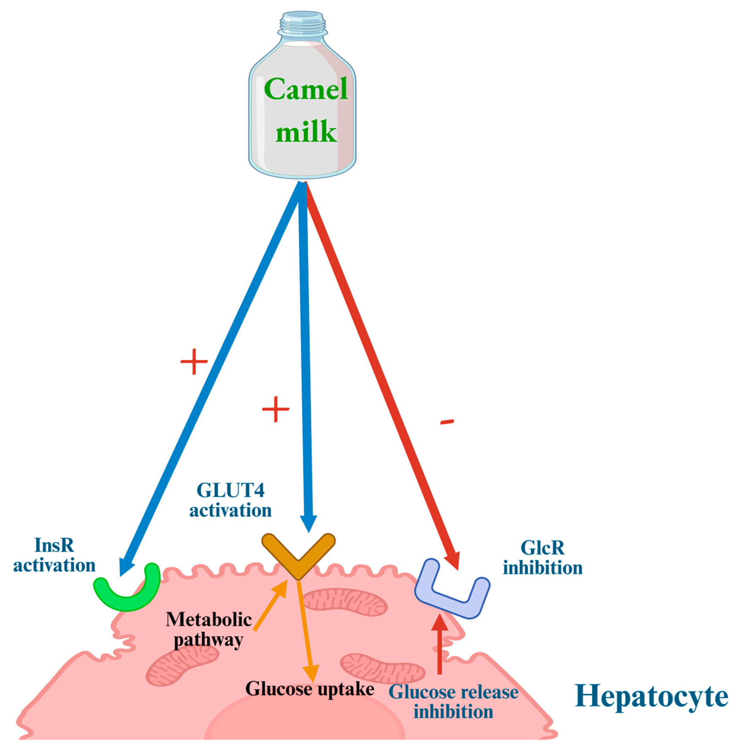 Biology 14 01162 g001 Biology 14 01162 g001