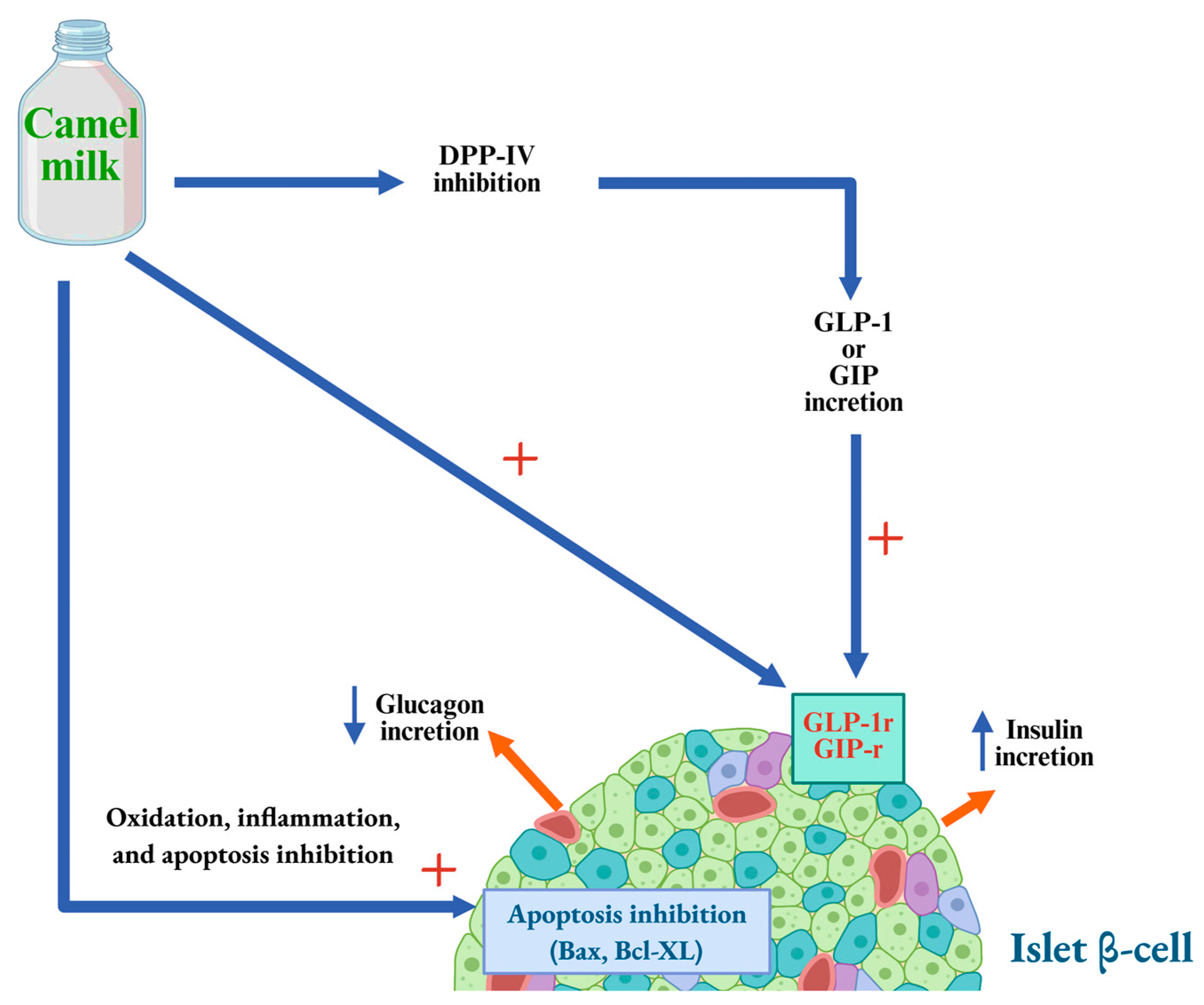 Biology 14 01162 g002 Biology 14 01162 g002