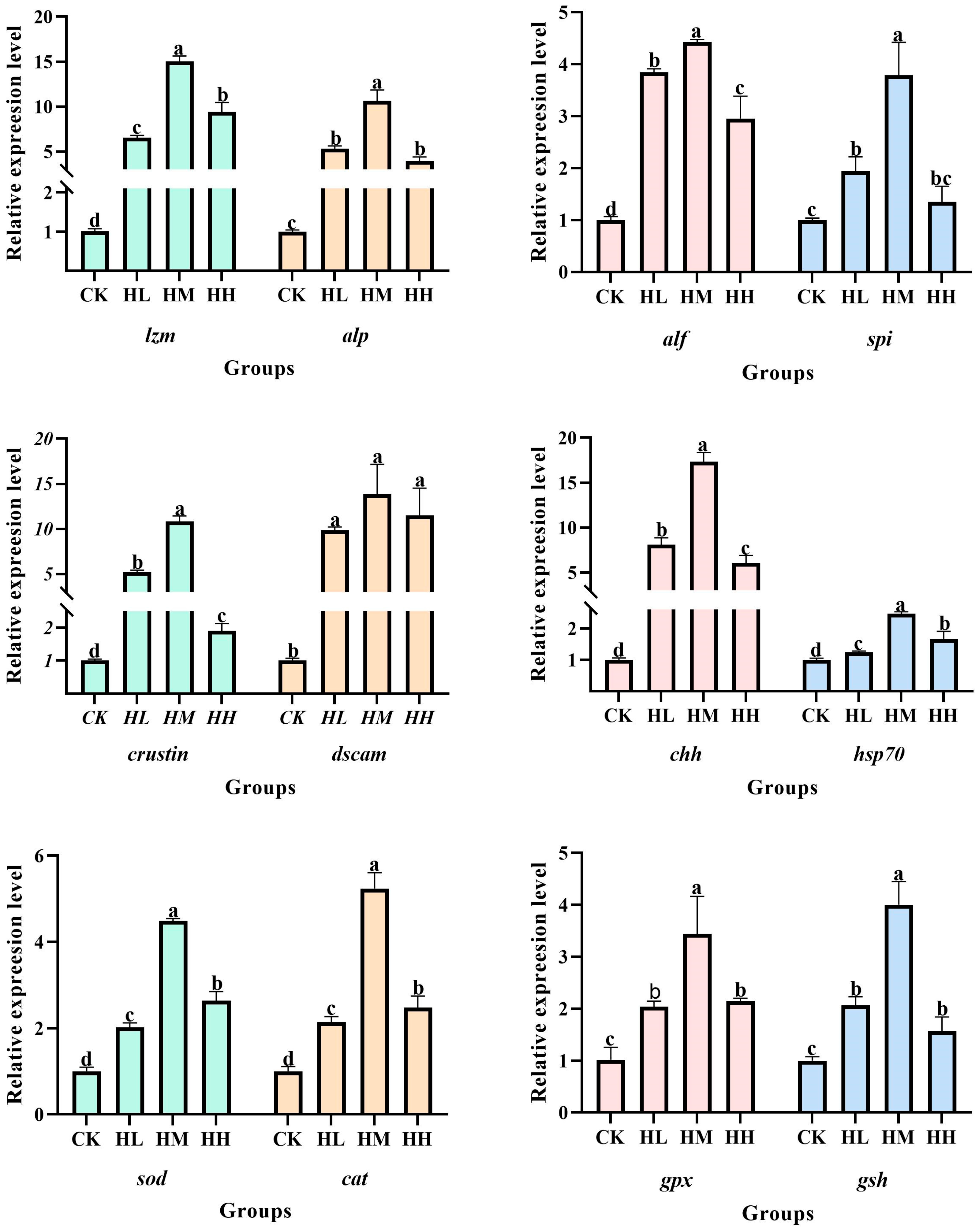 Biology 14 01164 g001