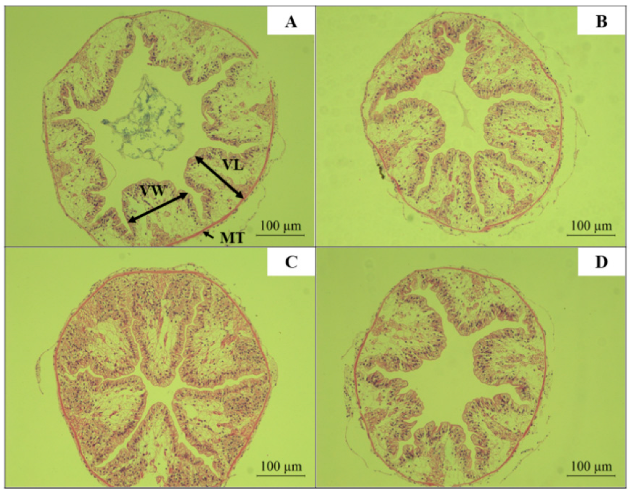 Biology 14 01164 g010