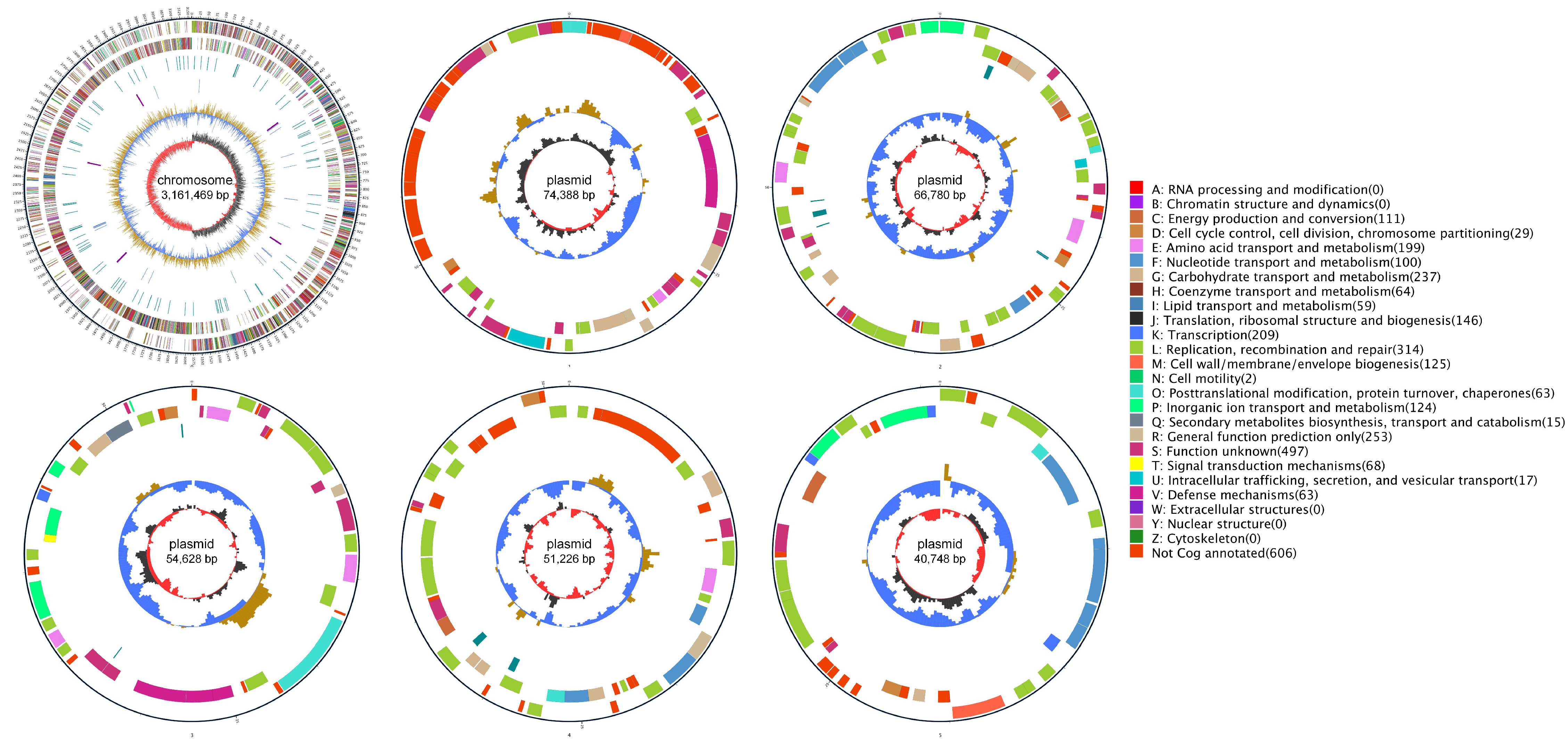 Biology 14 01167 g001 Biology 14 01167 g001