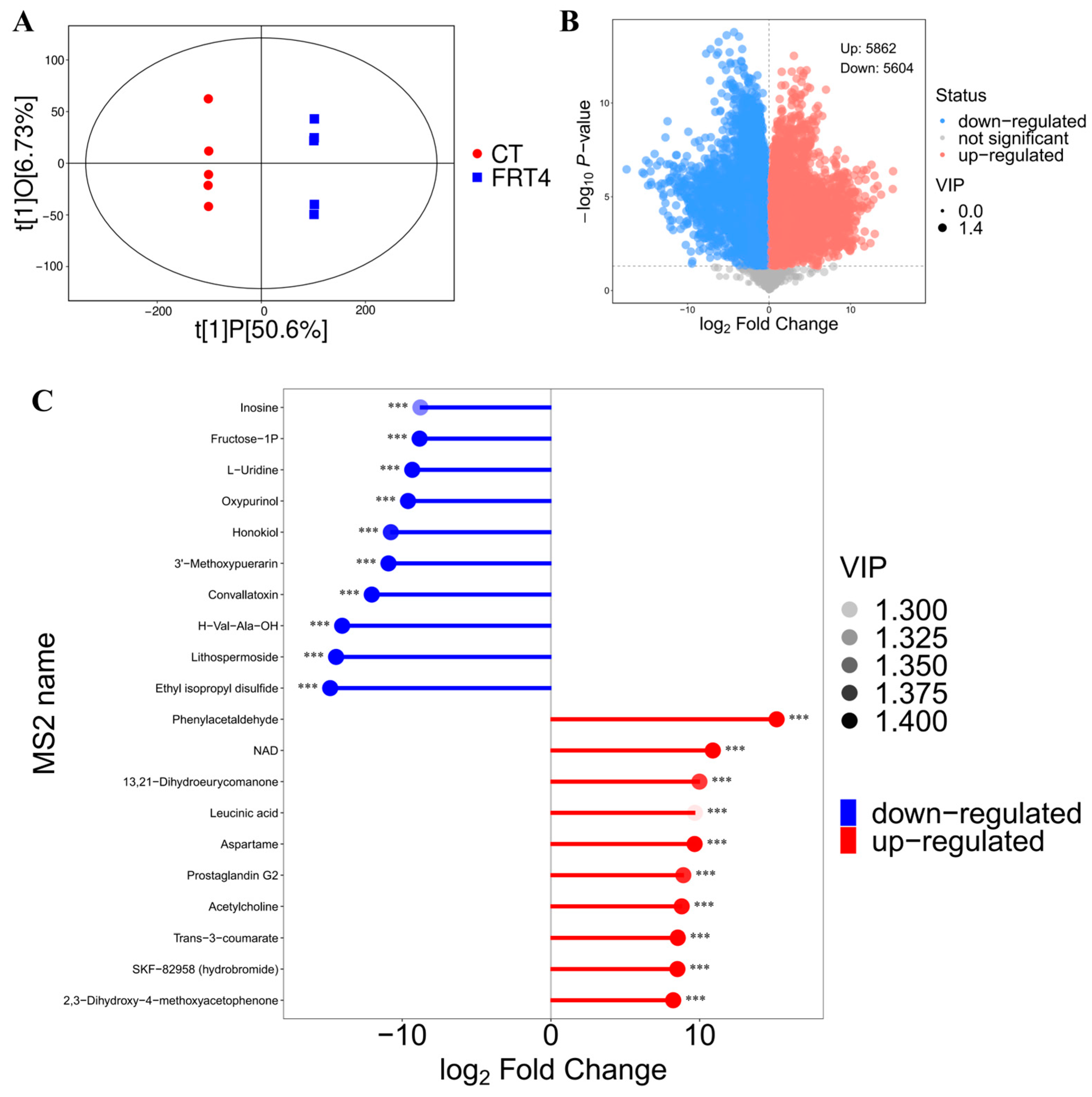 Biology 14 01167 g003 Biology 14 01167 g003