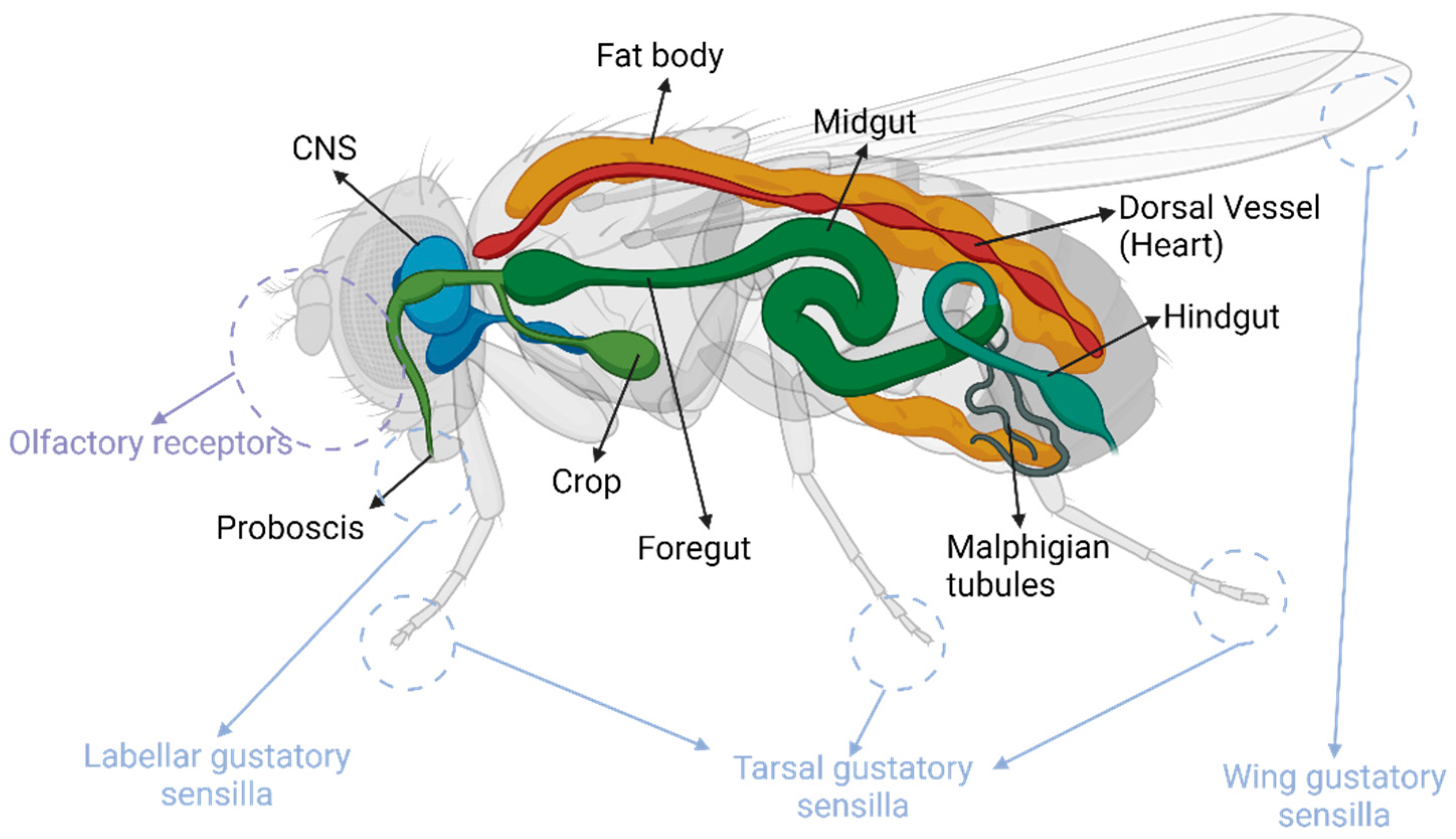 Biology 14 01168 g001 Biology 14 01168 g001