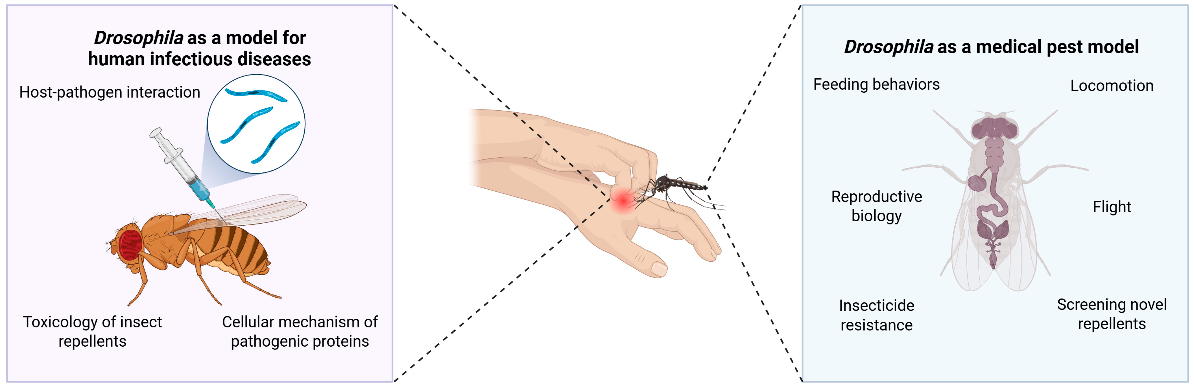 Biology 14 01168 g004 Biology 14 01168 g004