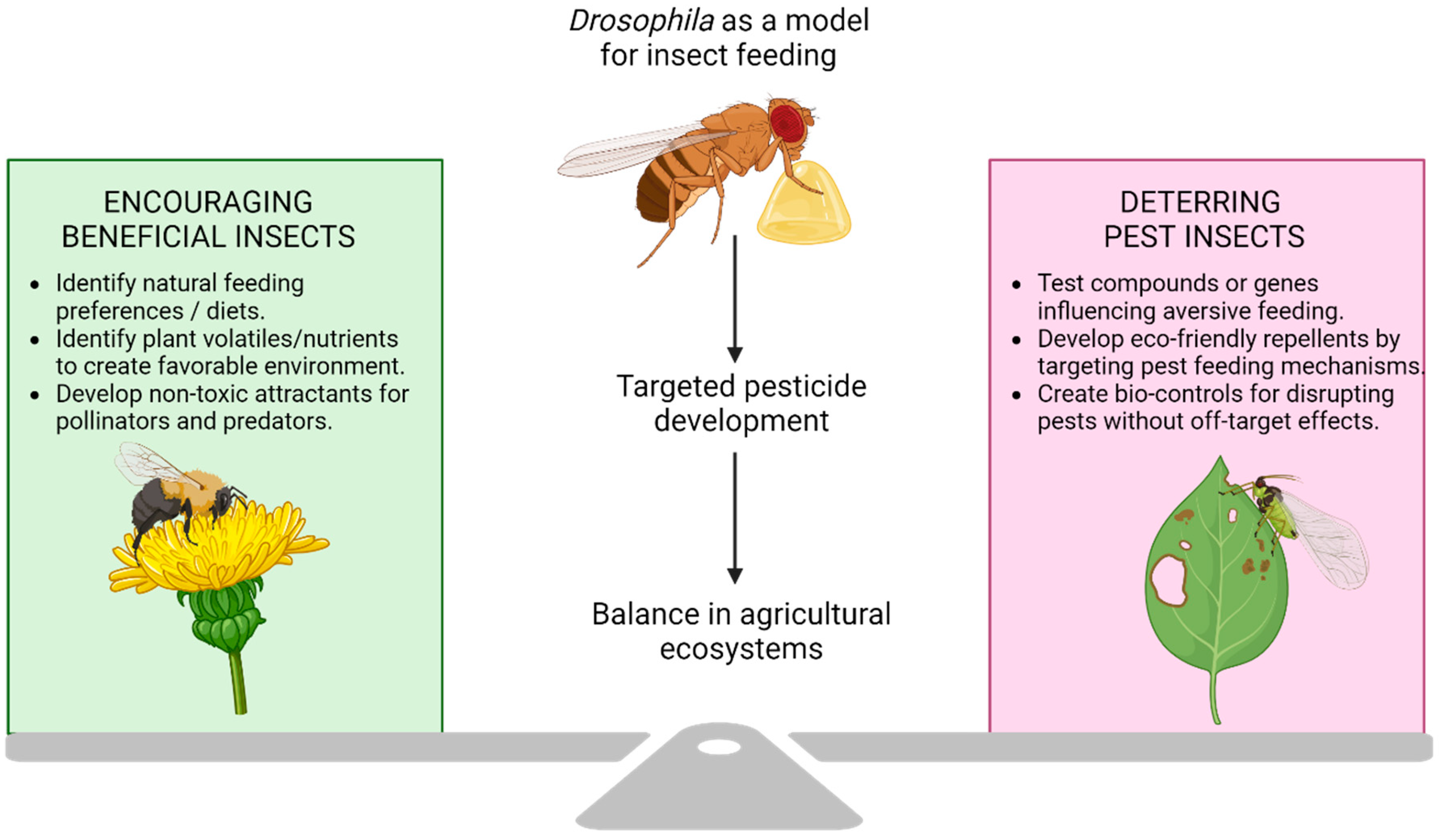 Biology 14 01168 g005 Biology 14 01168 g005