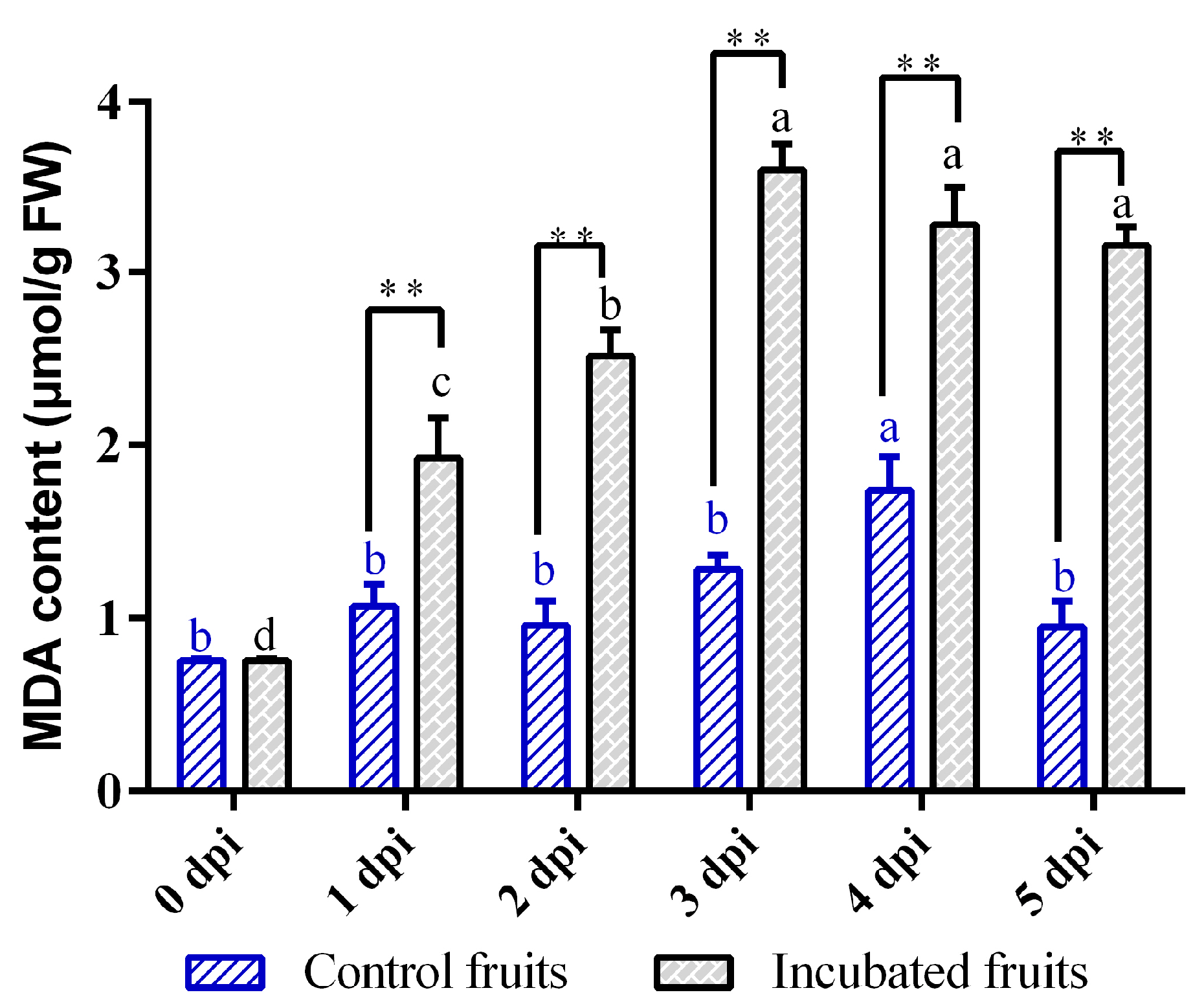 Biology 14 01169 g004