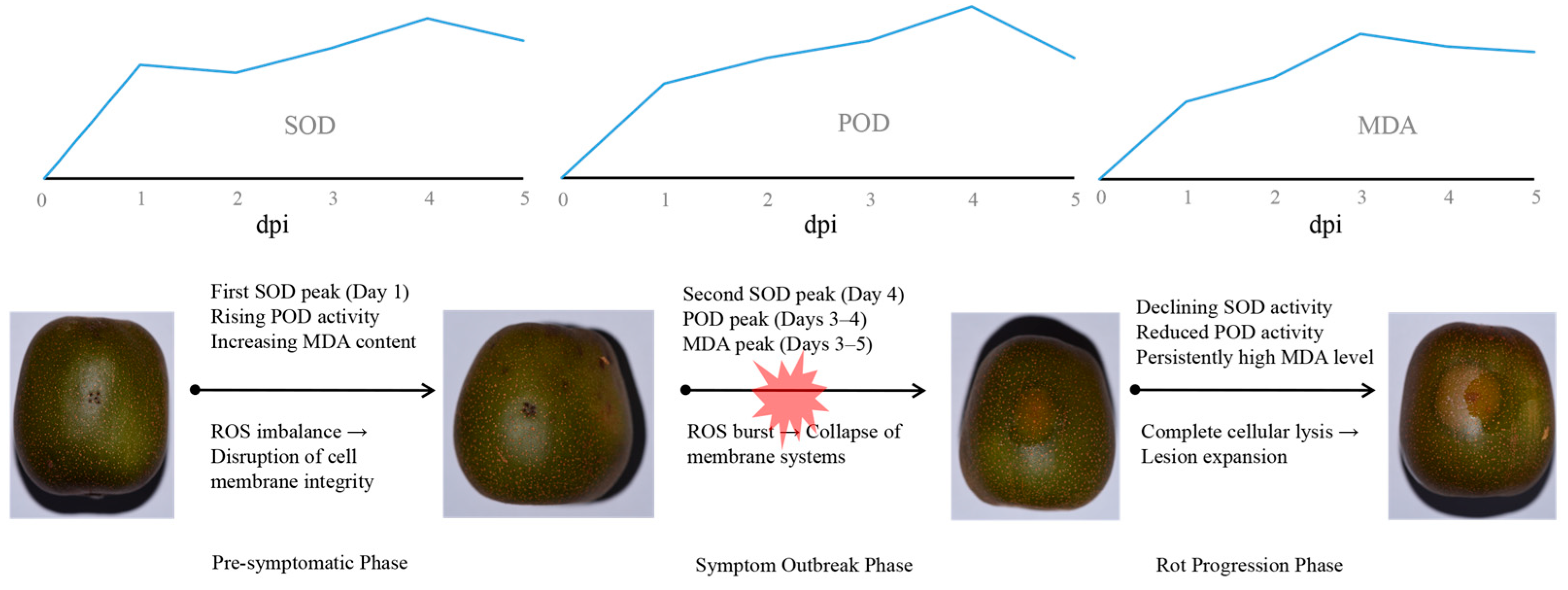 Biology 14 01169 g007