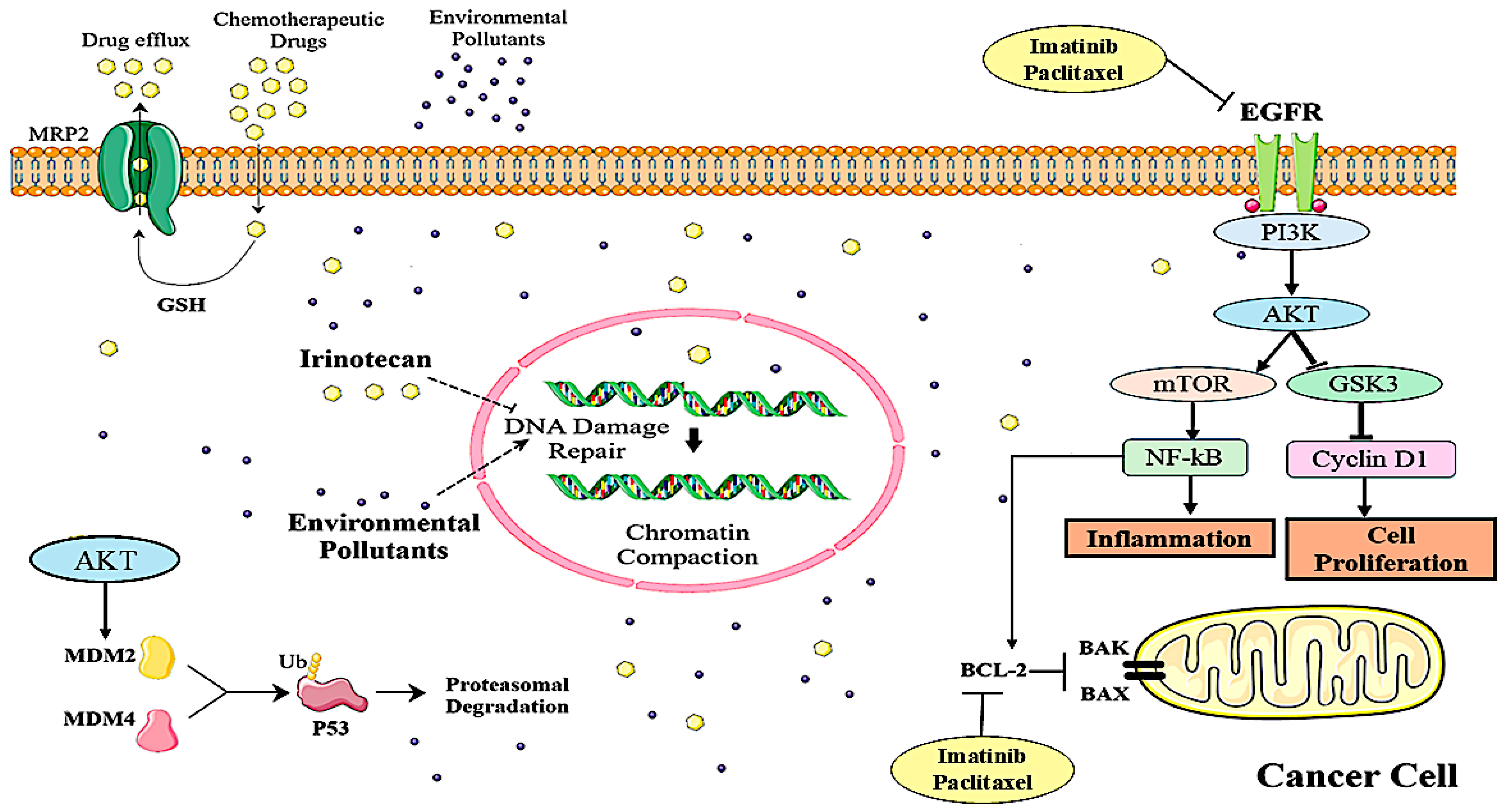 Biology 14 01174 g001