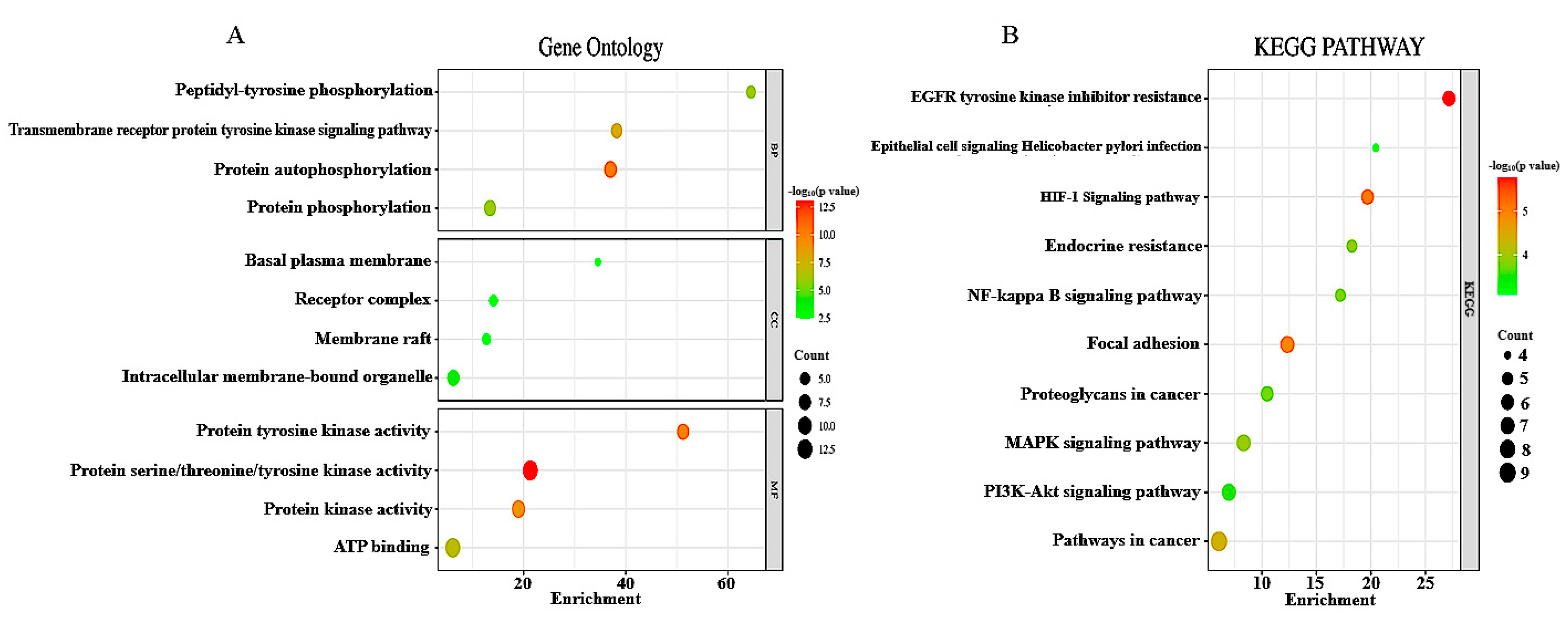 Biology 14 01174 g003