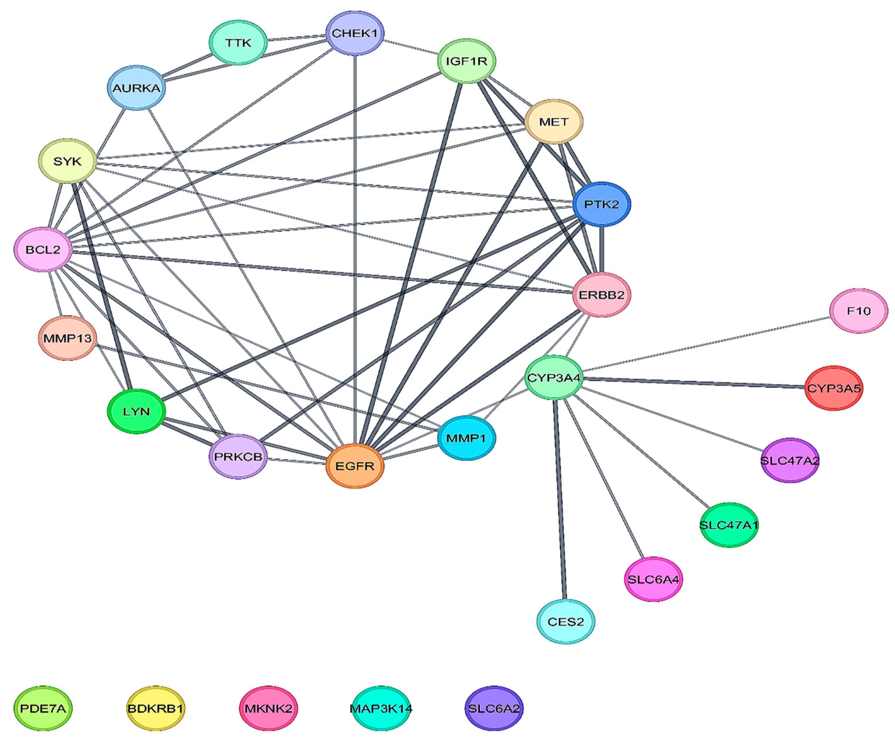 Biology 14 01174 g004