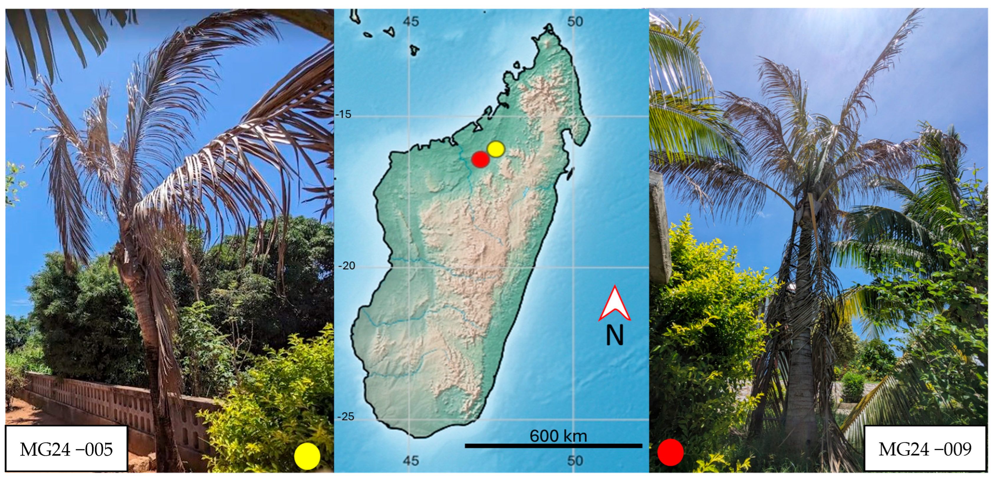 Biology 14 01175 g001 Biology 14 01175 g001