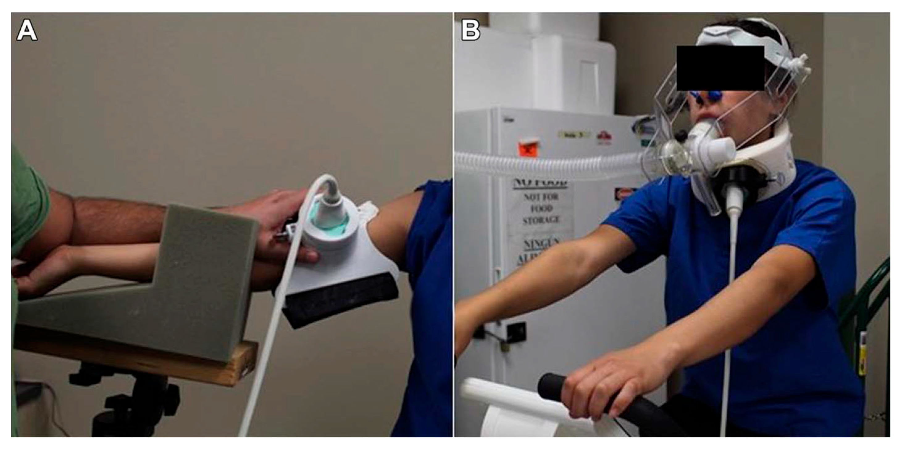 Biology 14 01189 g001 Biology 14 01189 g001