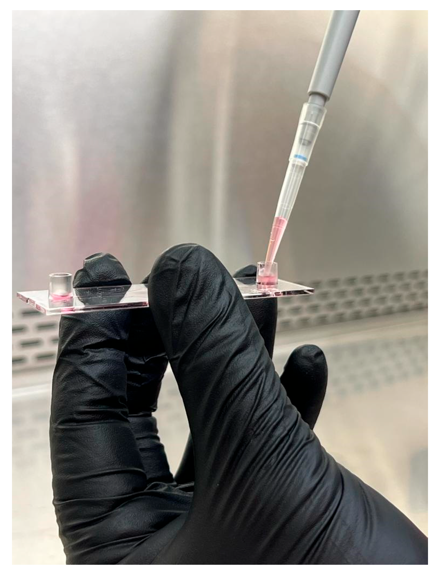 Biology 14 01189 g002 Biology 14 01189 g002