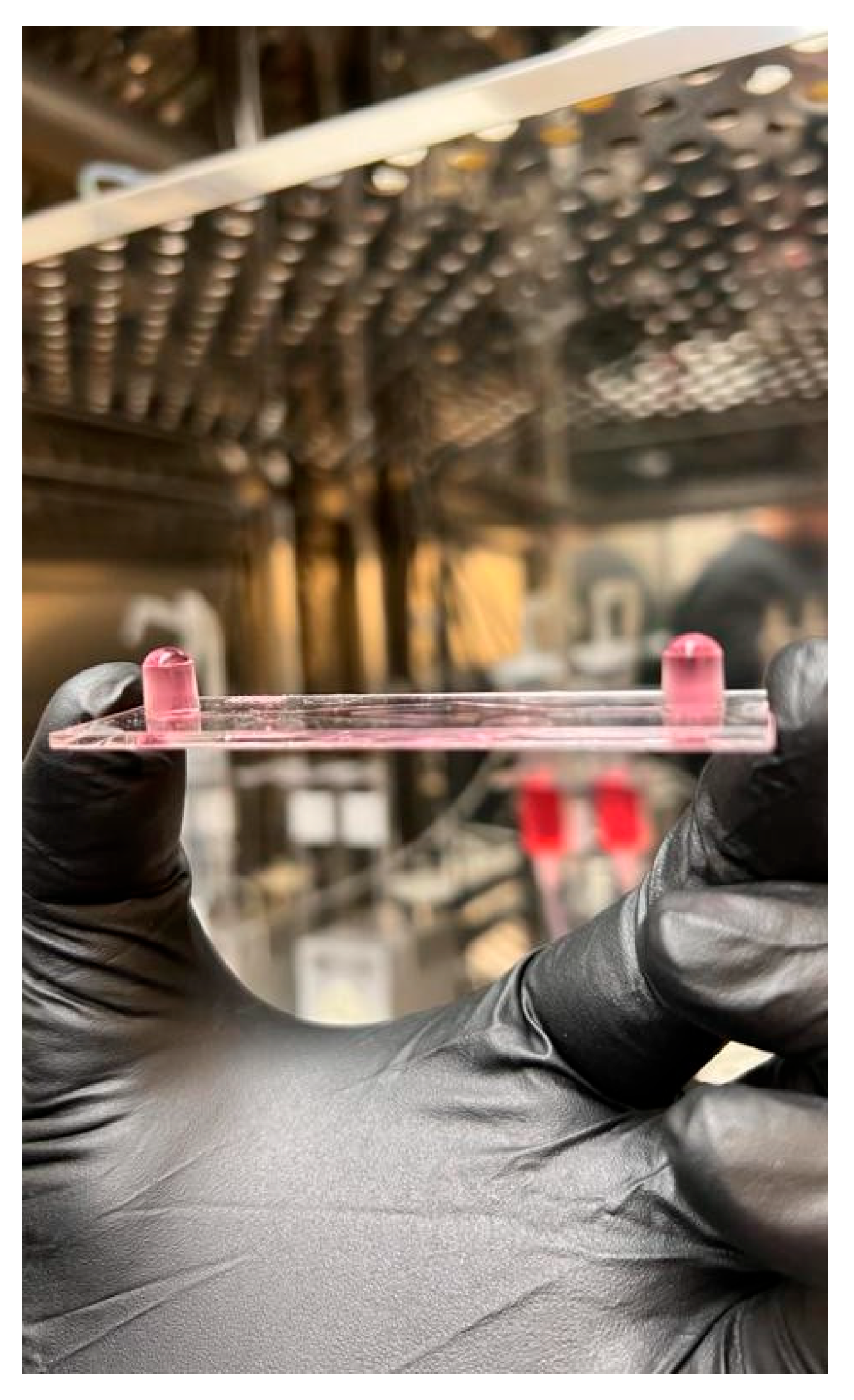 Biology 14 01189 g004 Biology 14 01189 g004