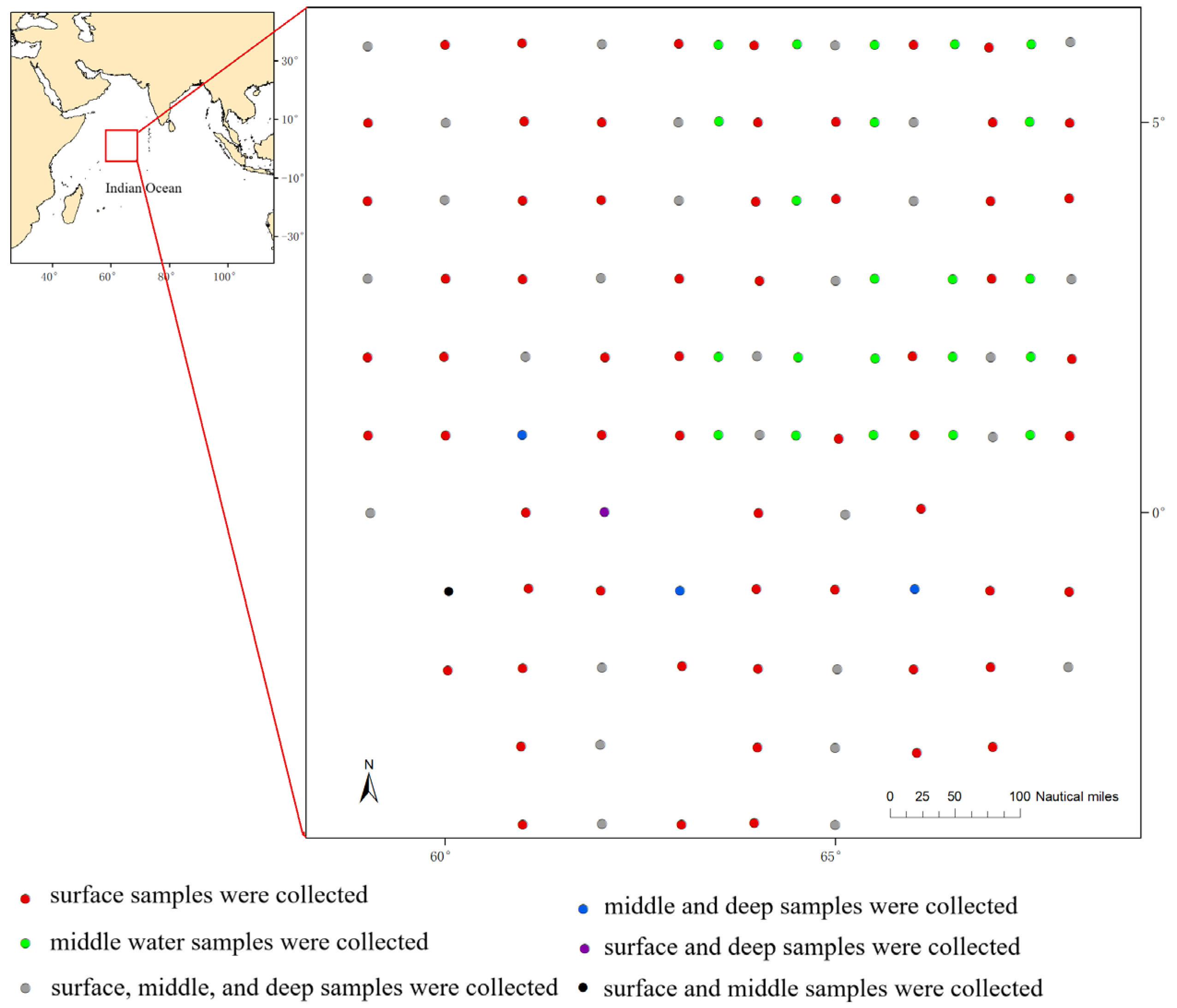 Biology 14 01194 g001 Biology 14 01194 g001