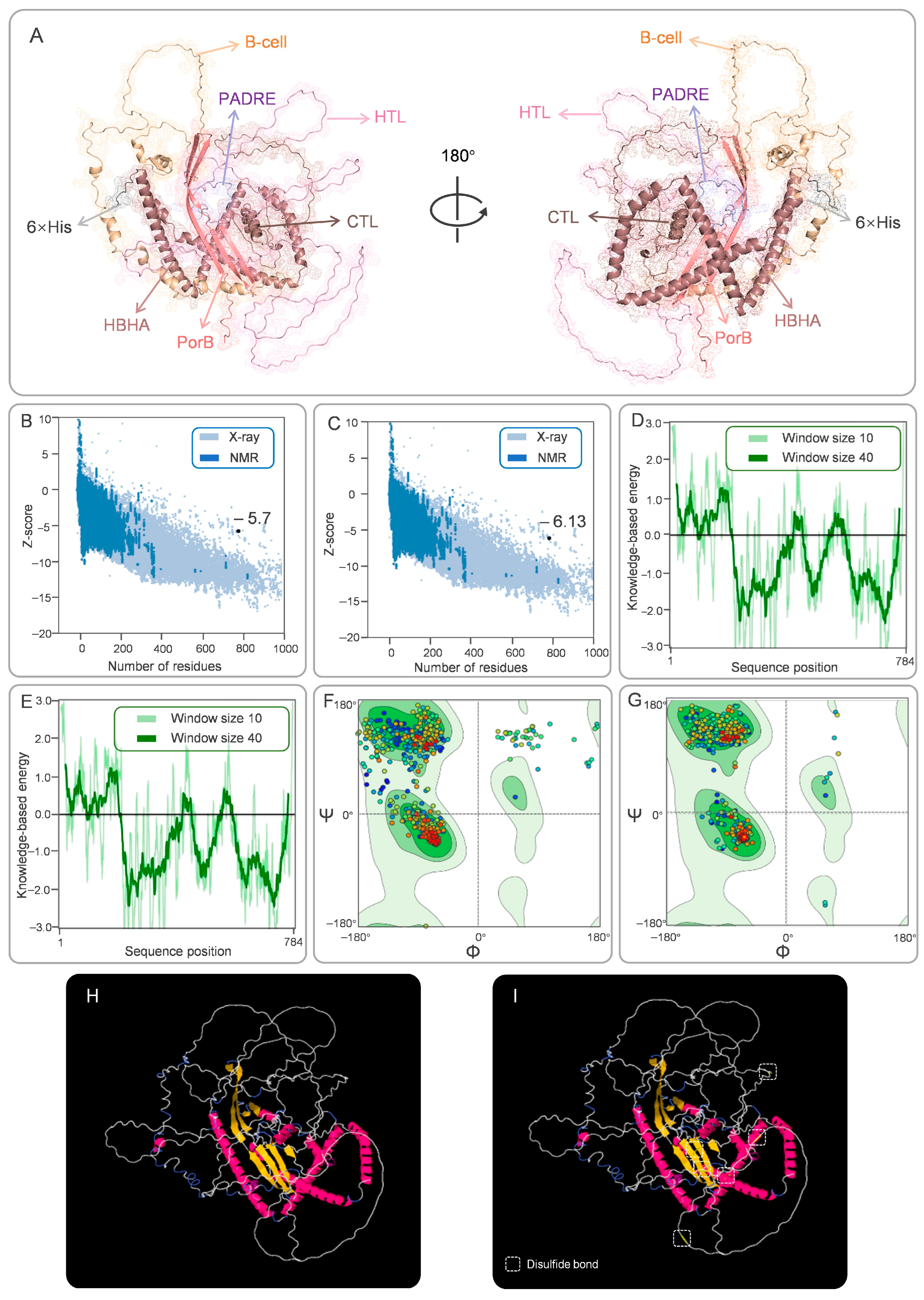 Biology 14 01196 g002 Biology 14 01196 g002