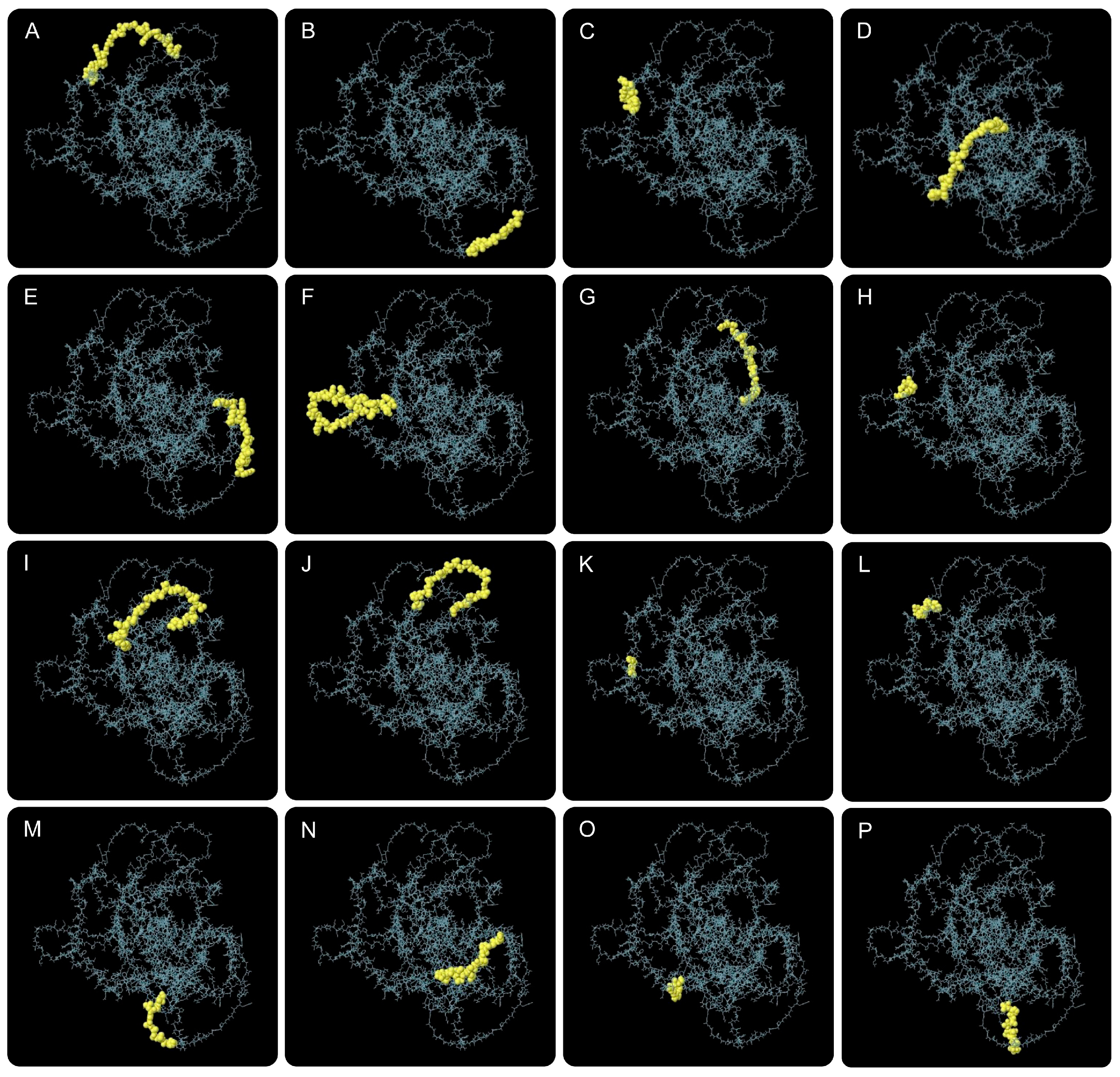 Biology 14 01196 g003 Biology 14 01196 g003