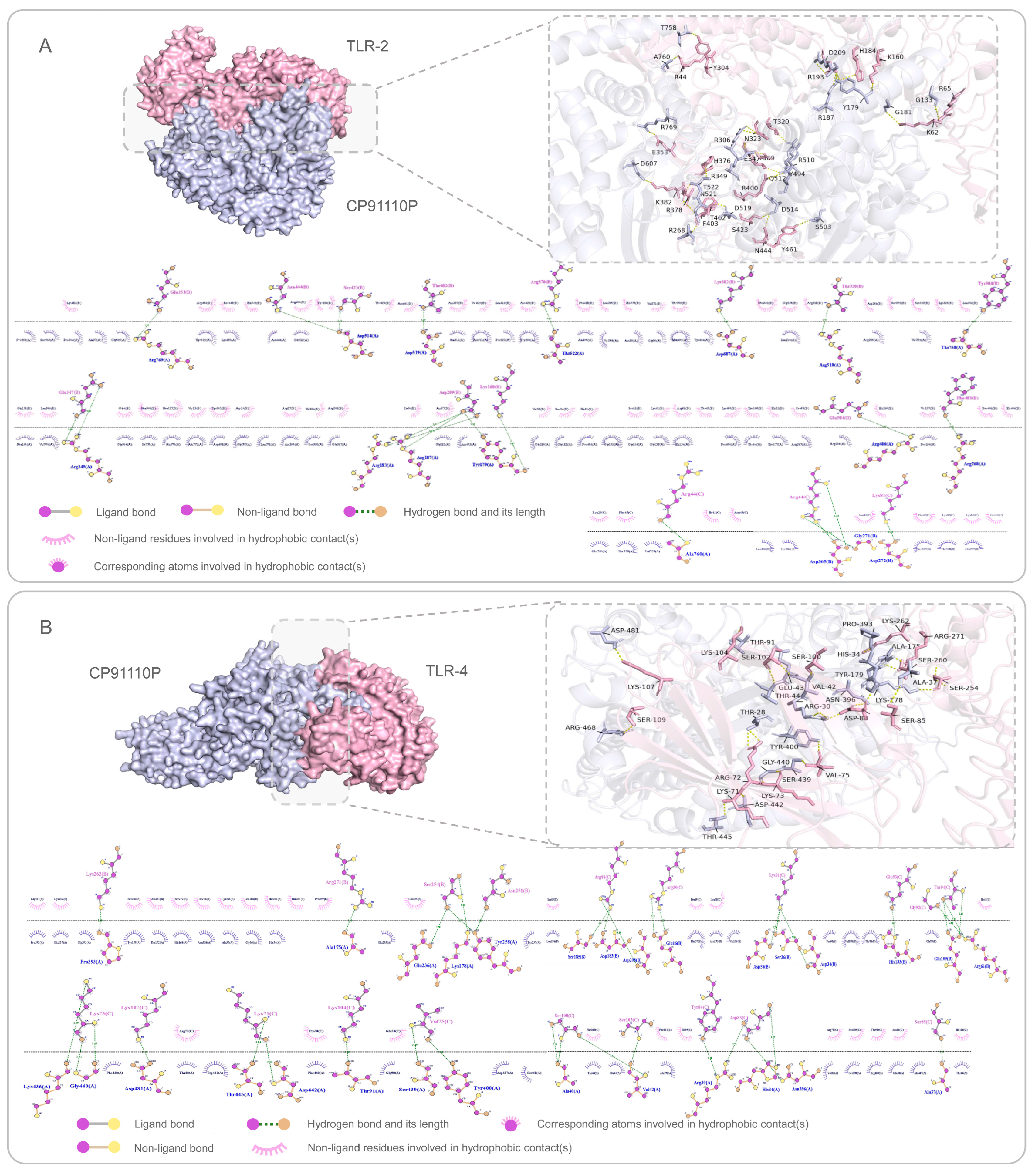 Biology 14 01196 g004 Biology 14 01196 g004