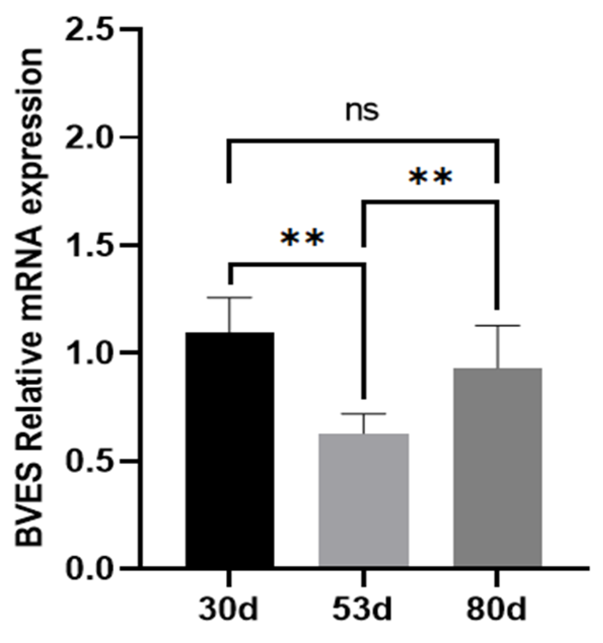 Biology 14 01210 g001 Biology 14 01210 g001