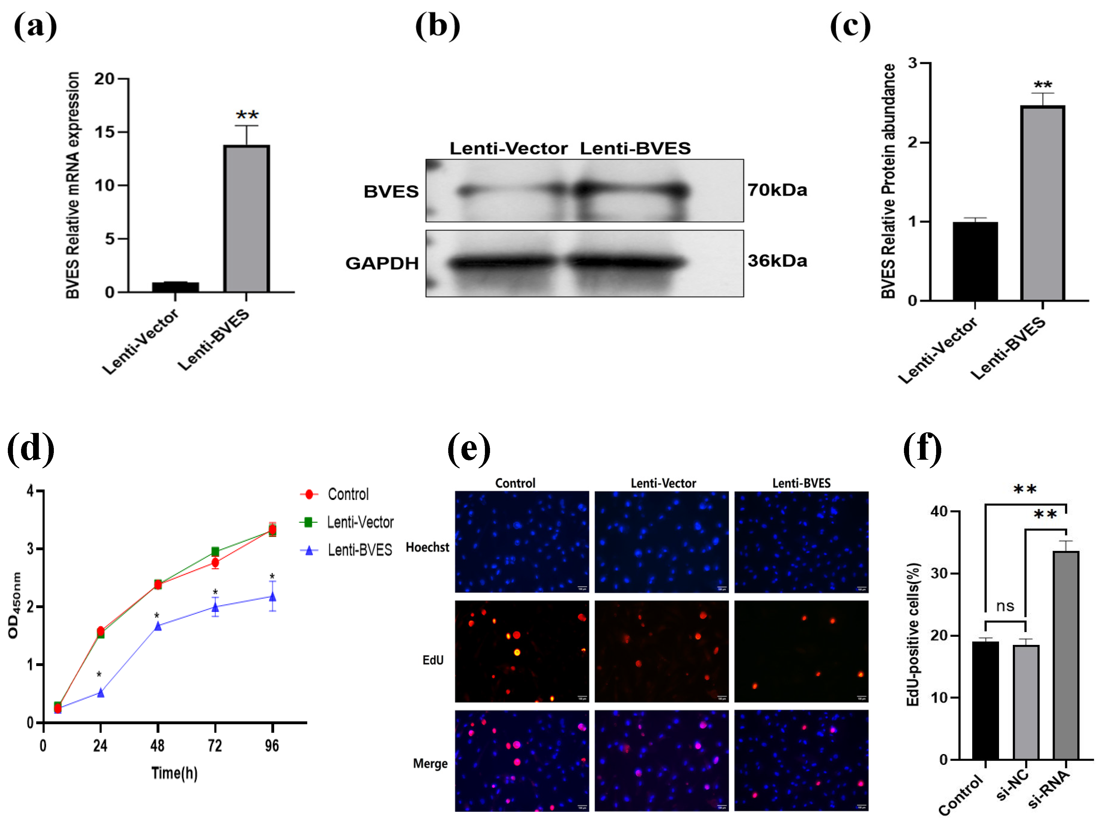 Biology 14 01210 g003 Biology 14 01210 g003