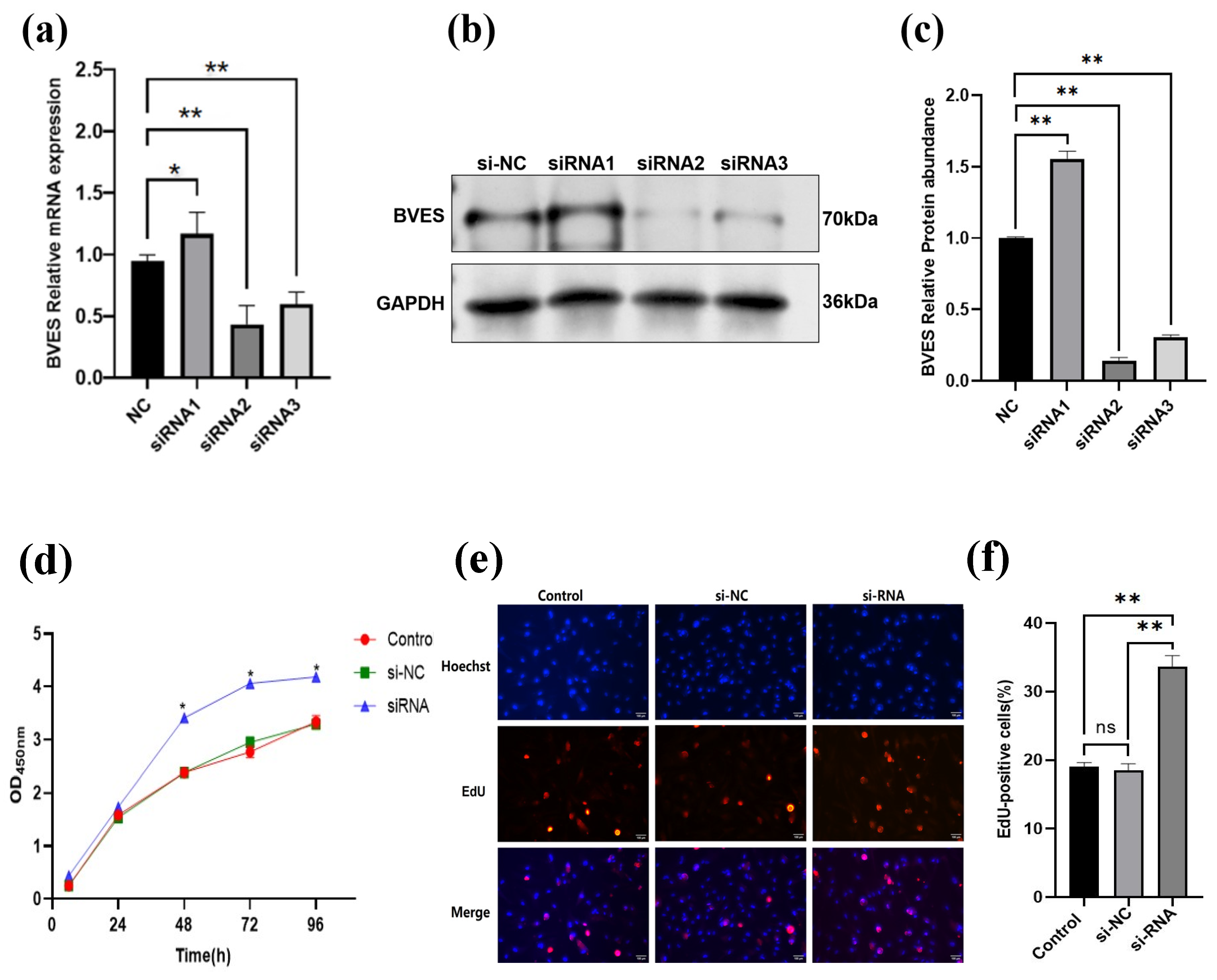 Biology 14 01210 g004 Biology 14 01210 g004